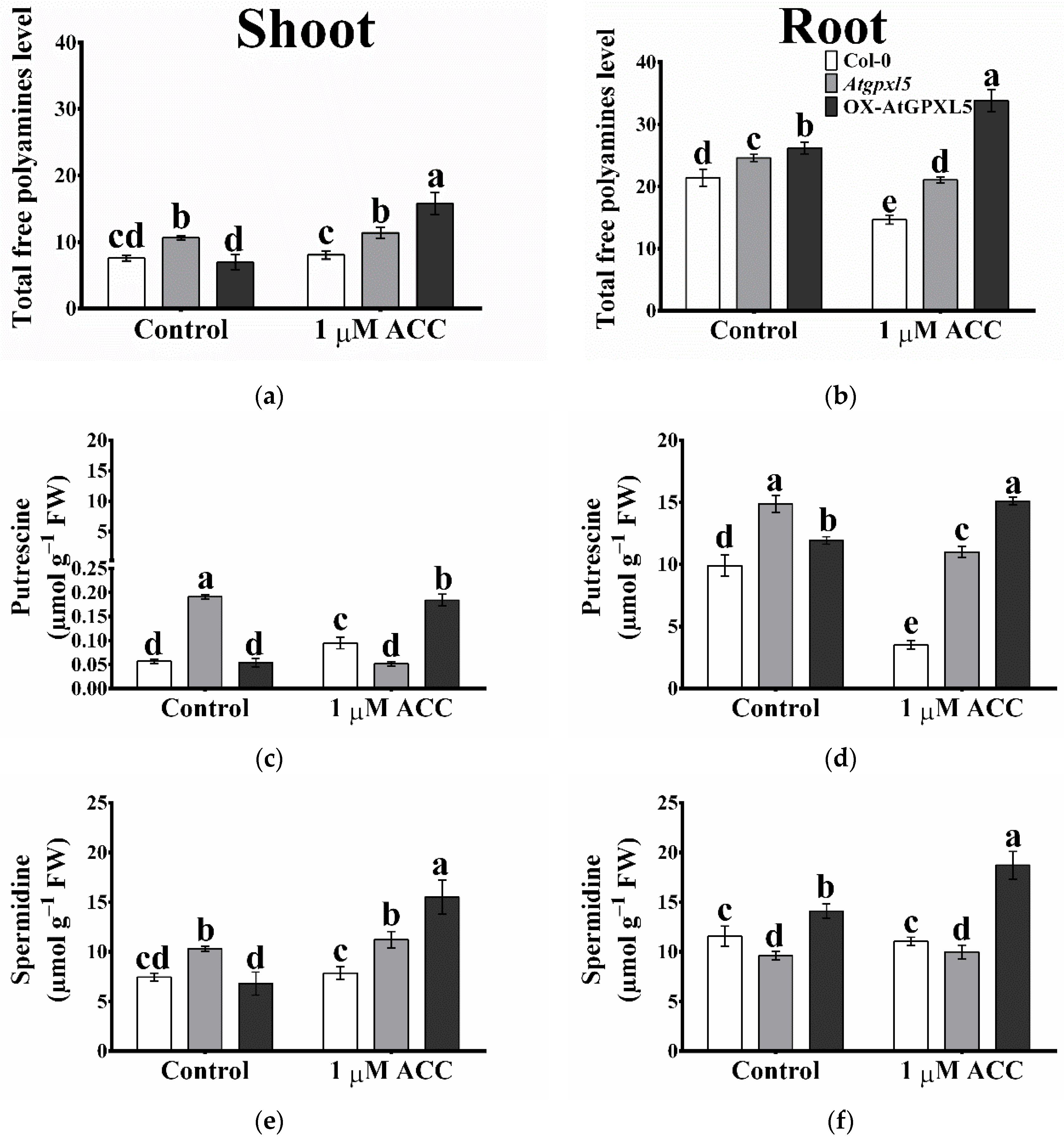 Ijms 23 05749 g007a 550