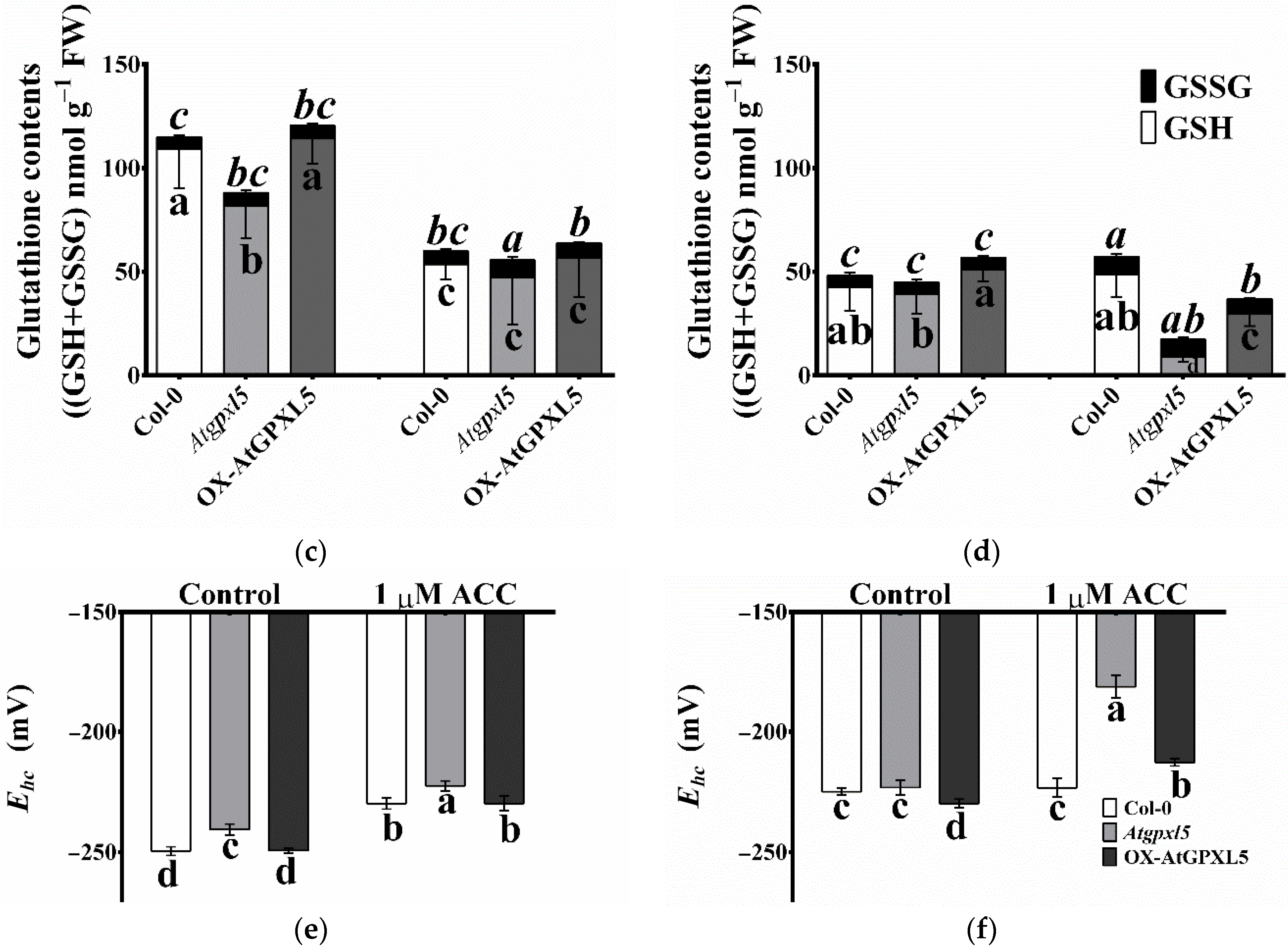 Ijms 23 05749 g008b 550