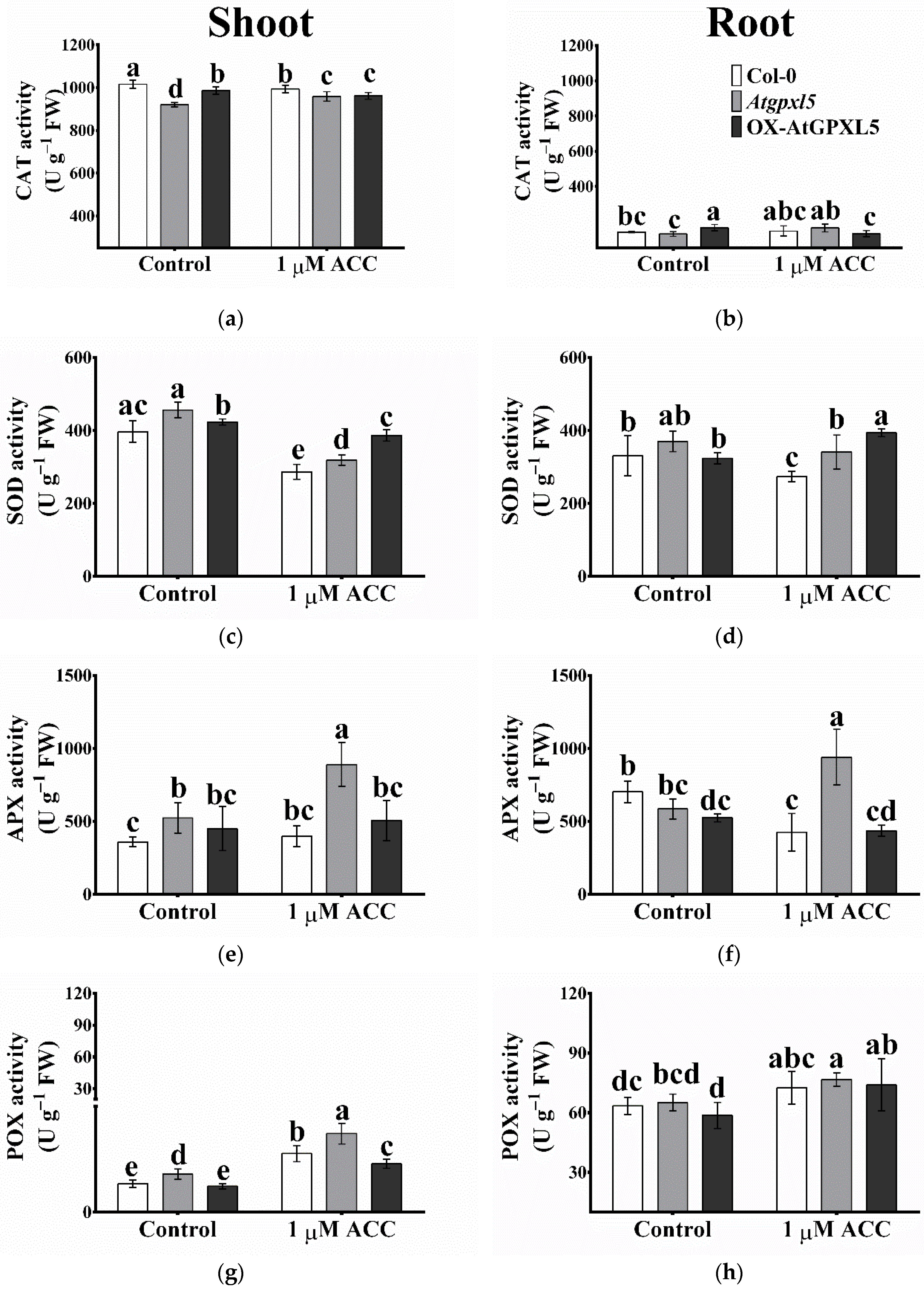 Ijms 23 05749 g009a 550