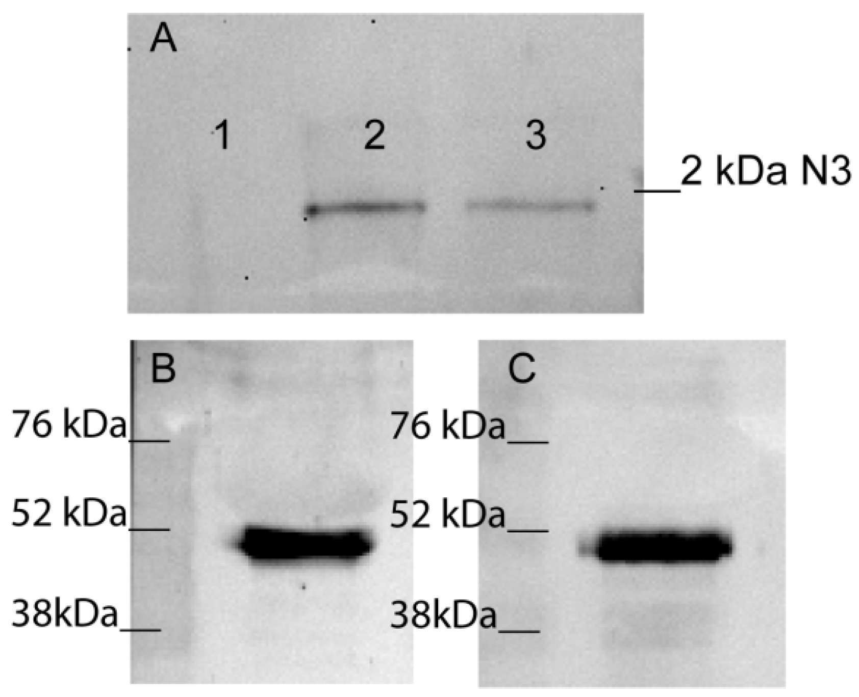 Ijms 23 05752 g002 550