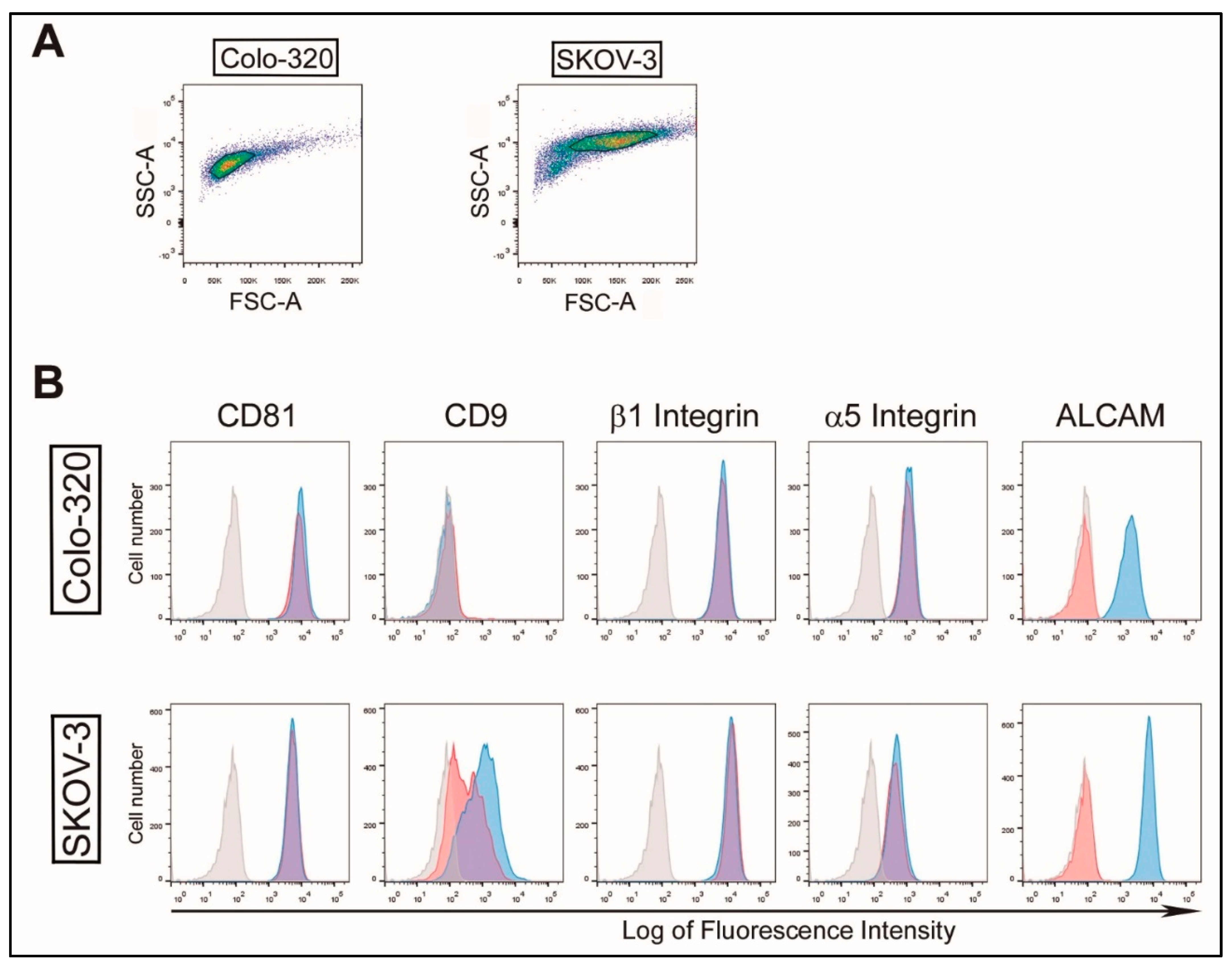 Ijms 23 05753 g001 550
