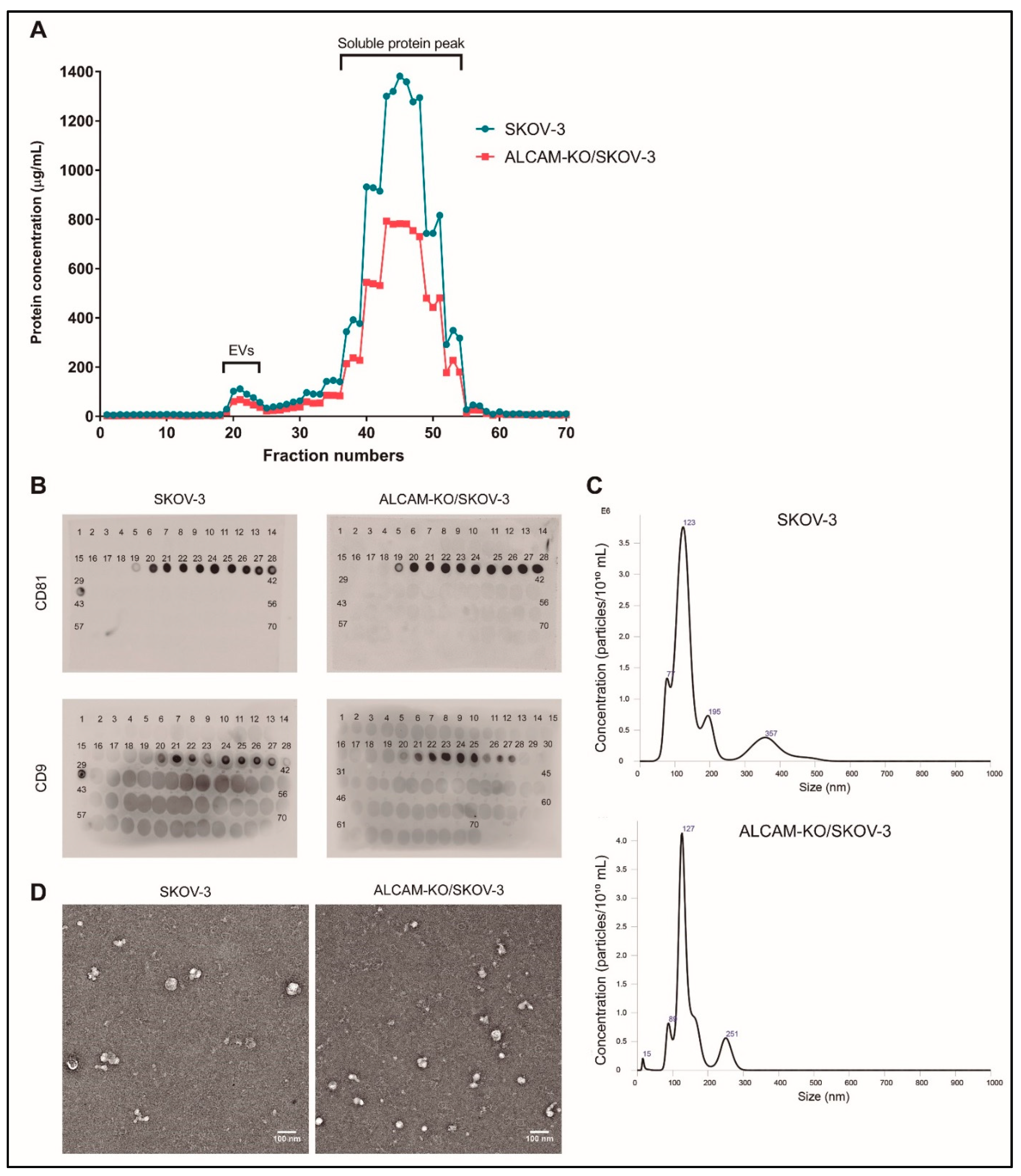 Ijms 23 05753 g002 550