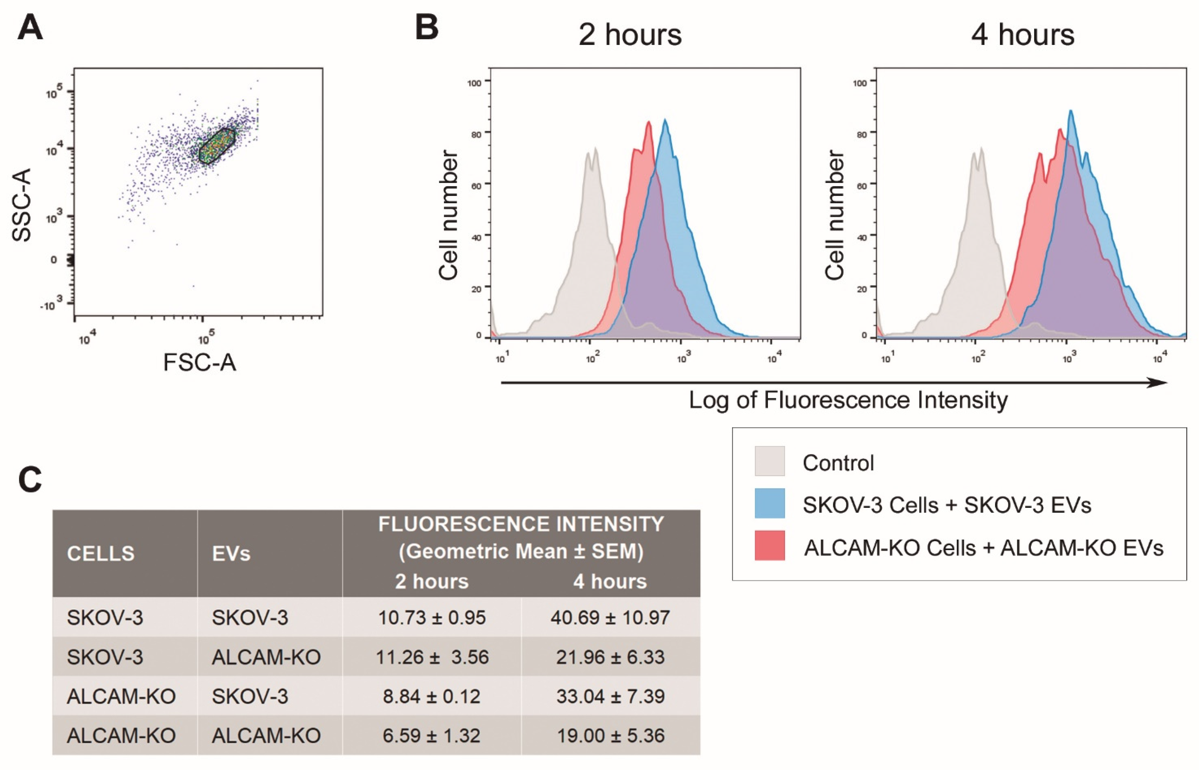 Ijms 23 05753 g004 550