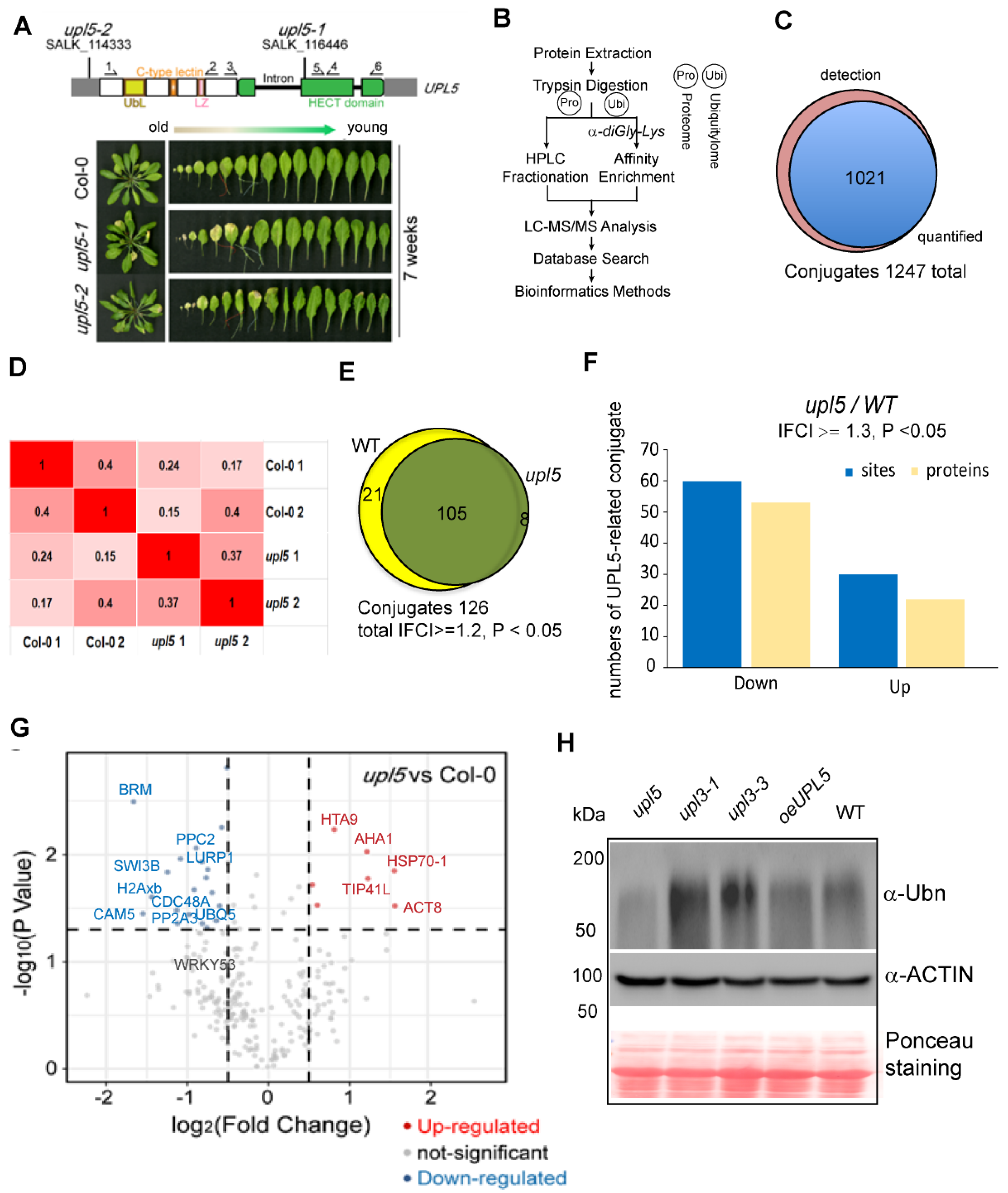 Ijms 23 05754 g001 550