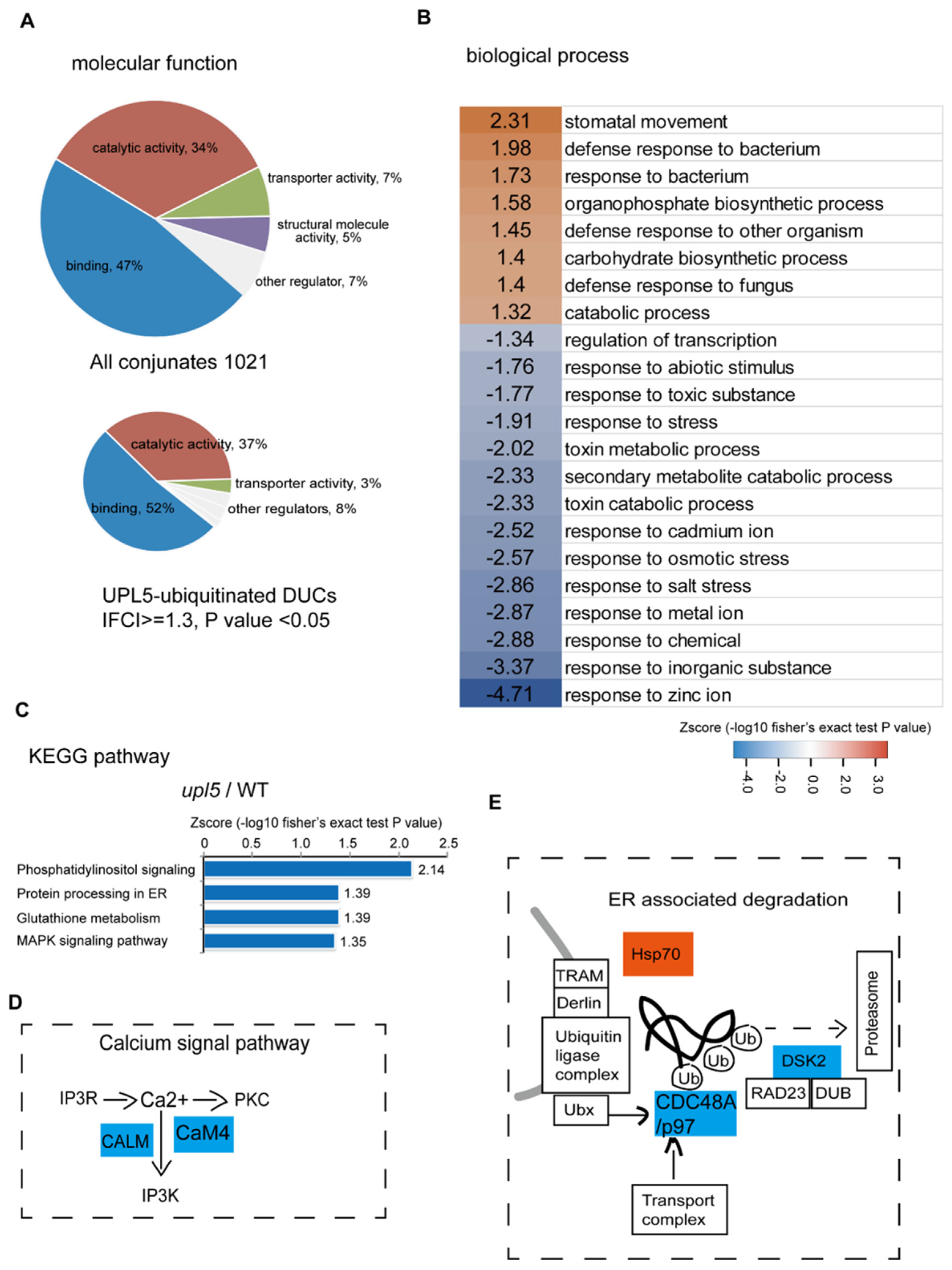 Ijms 23 05754 g002 550