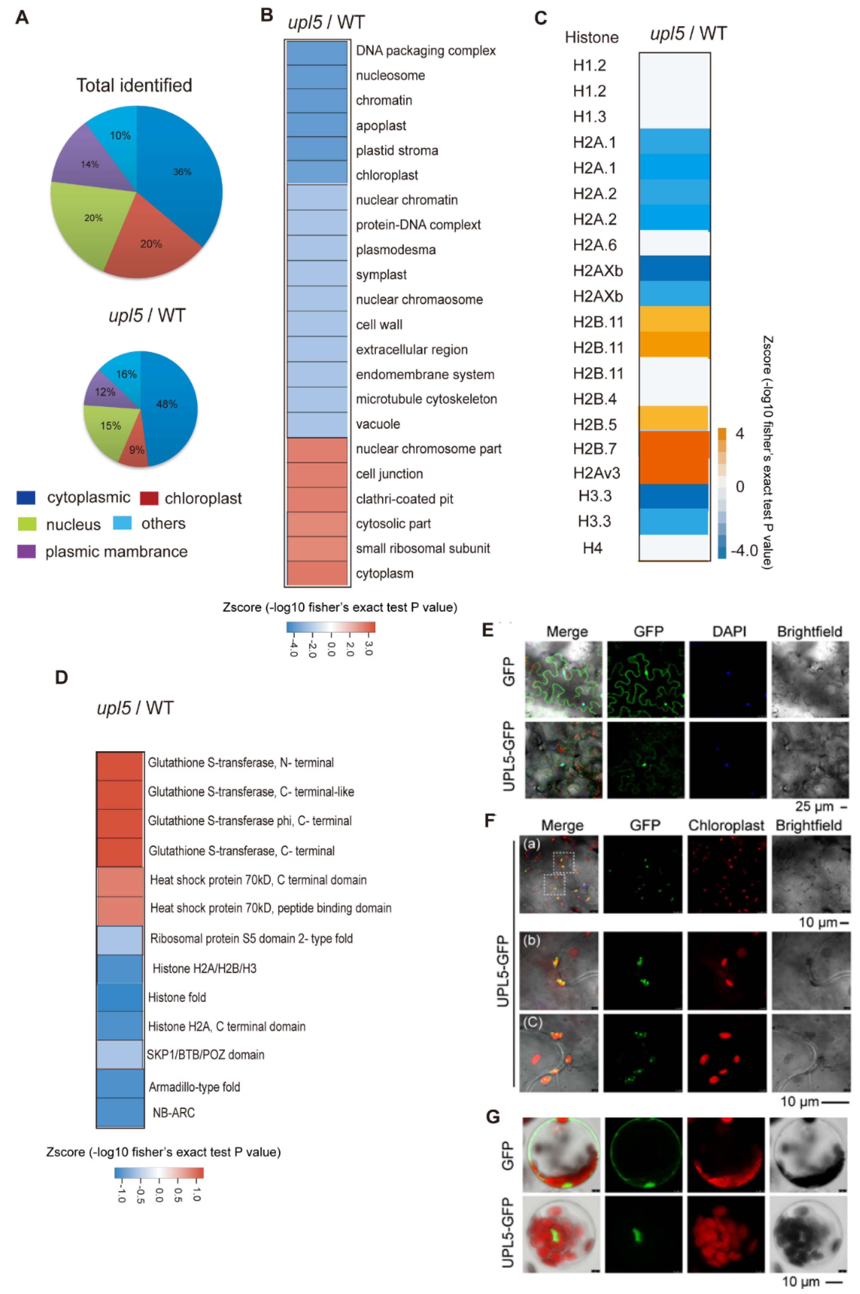 Ijms 23 05754 g003 550