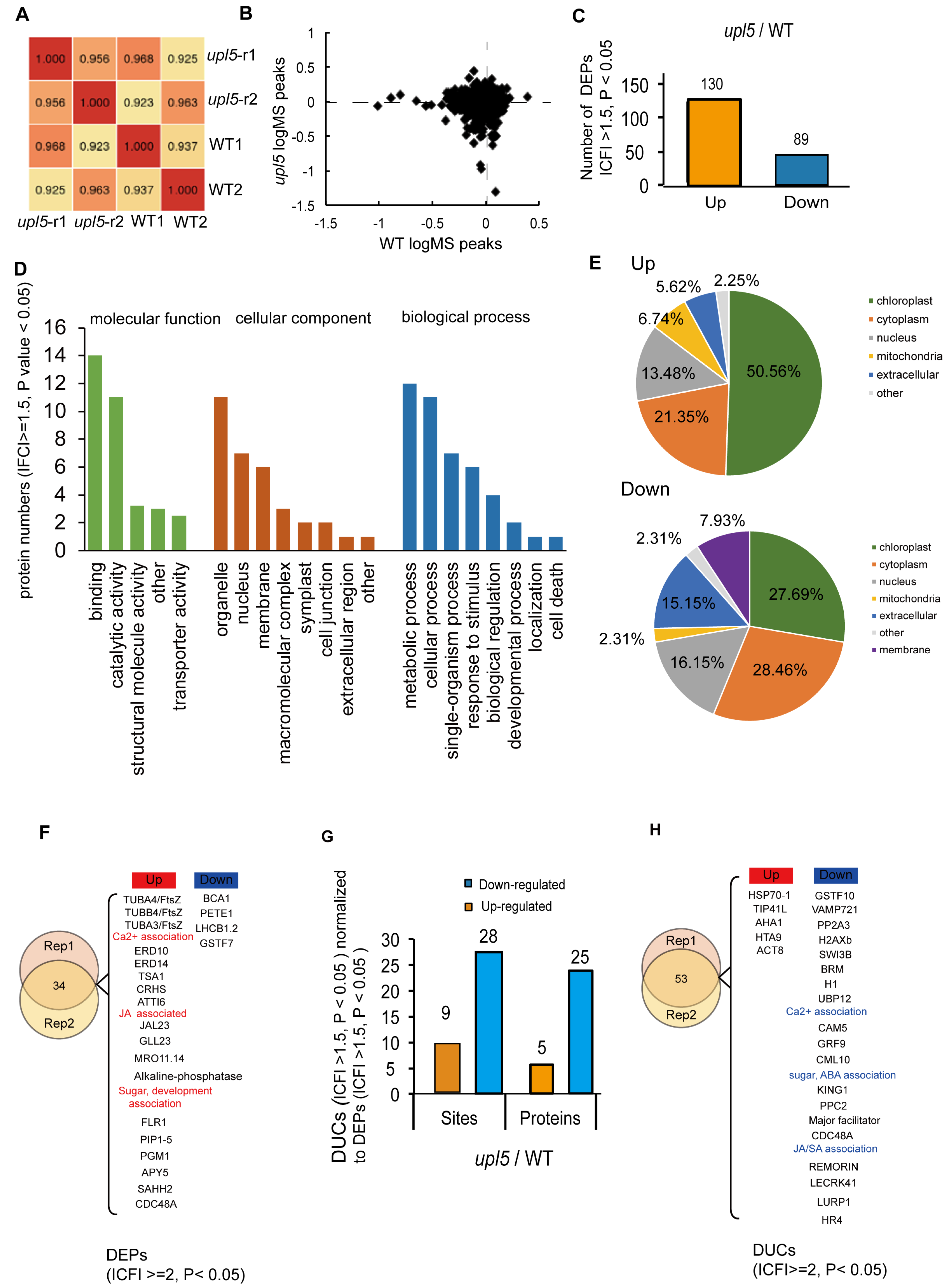 Ijms 23 05754 g005 550