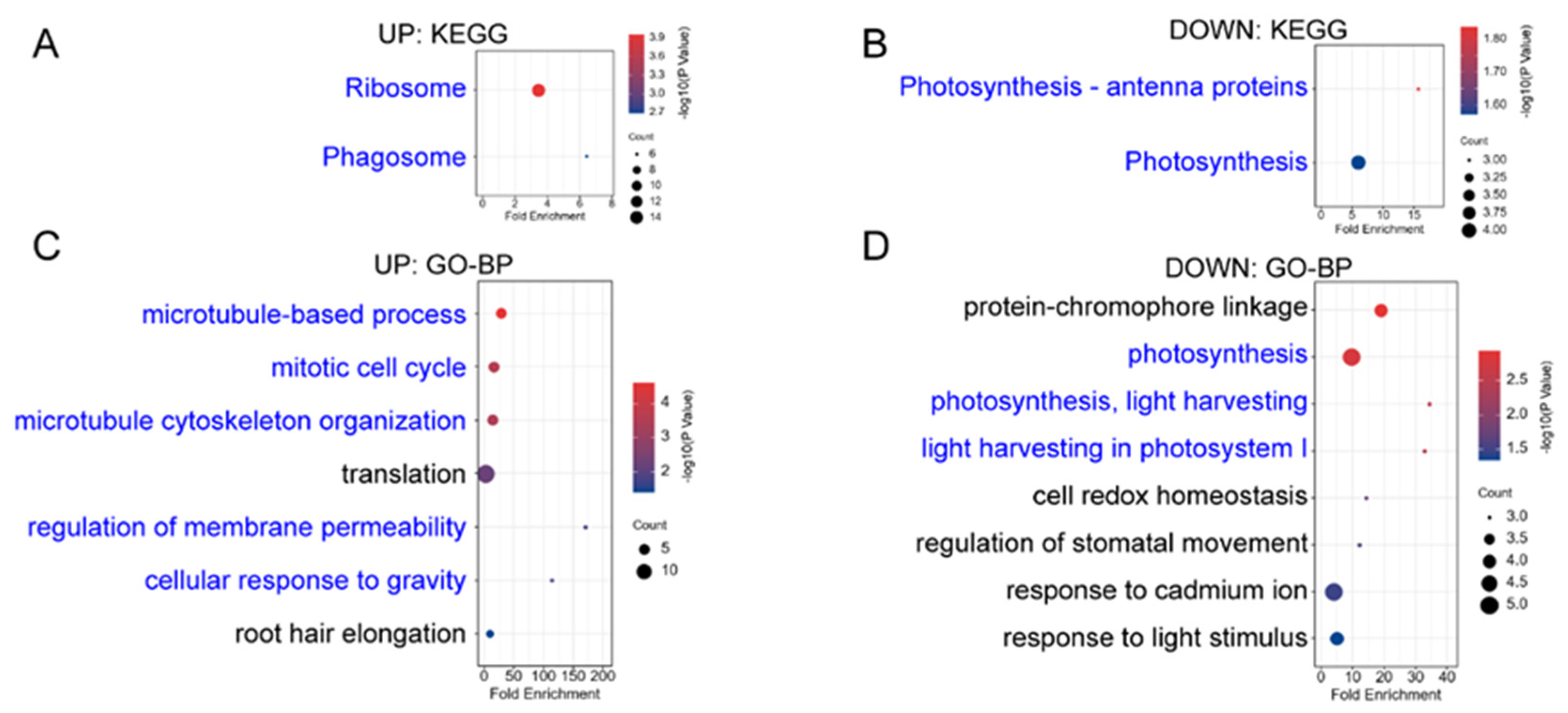 Ijms 23 05754 g0a1 550