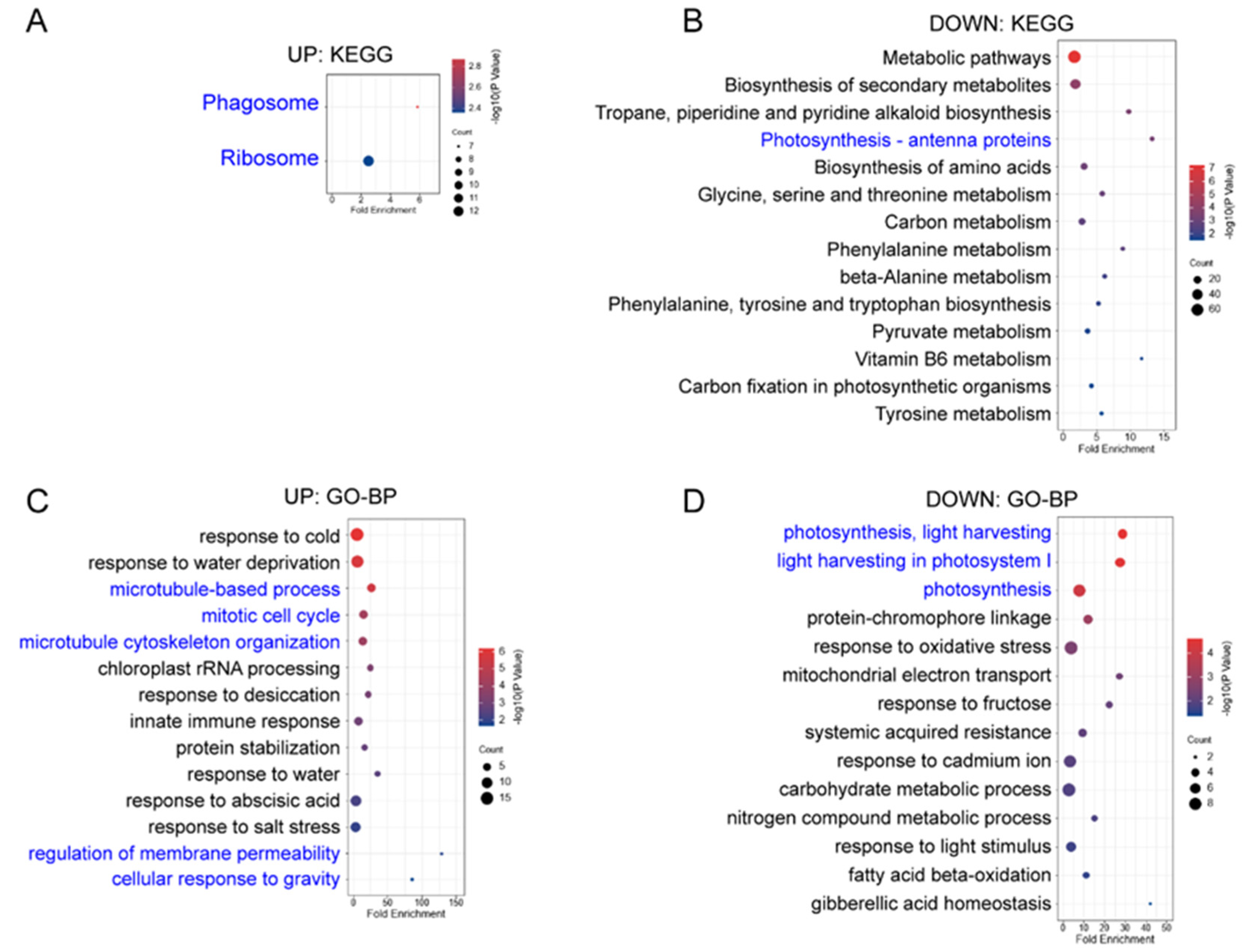 Ijms 23 05754 g0a2 550