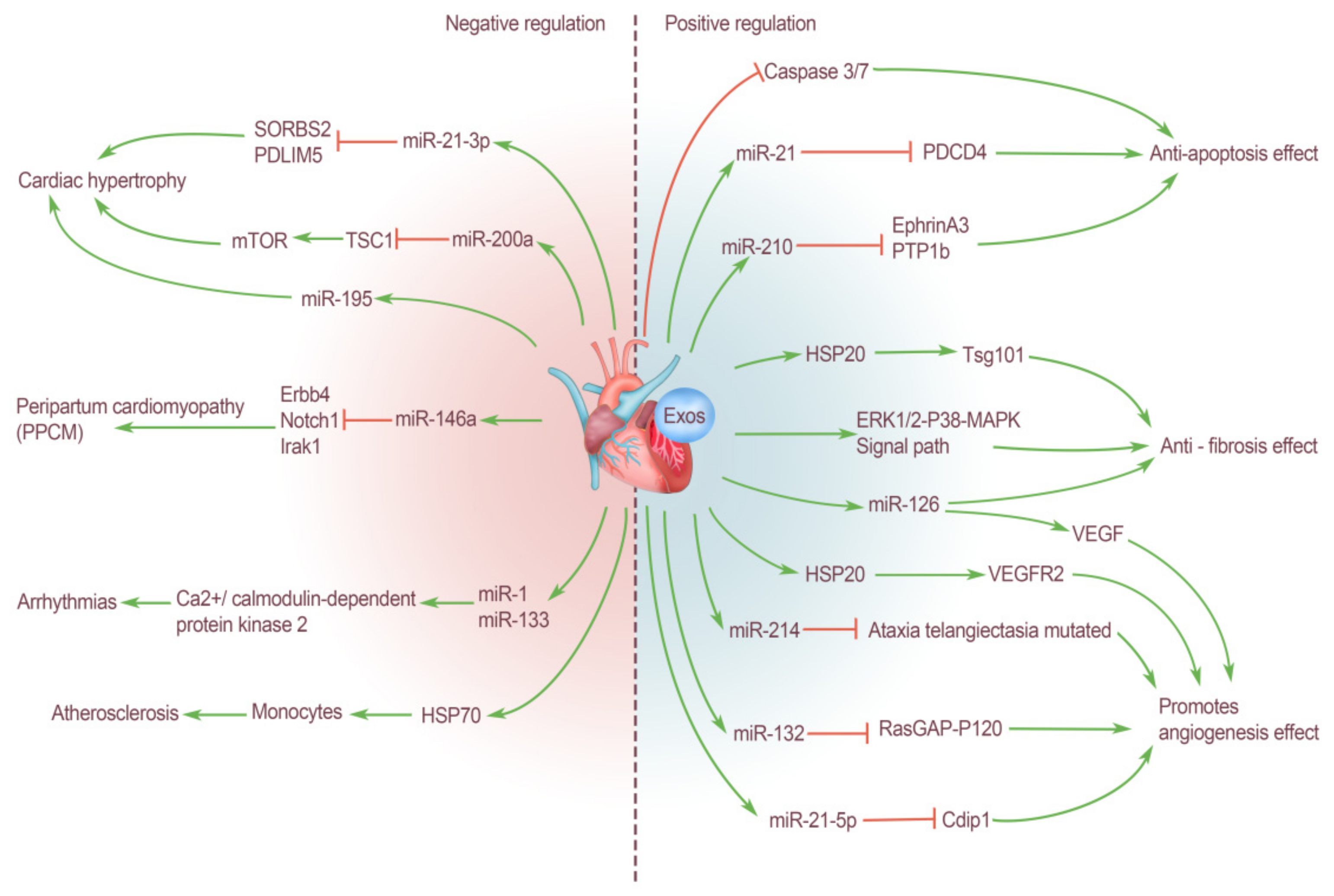 Ijms 23 05765 g001 550