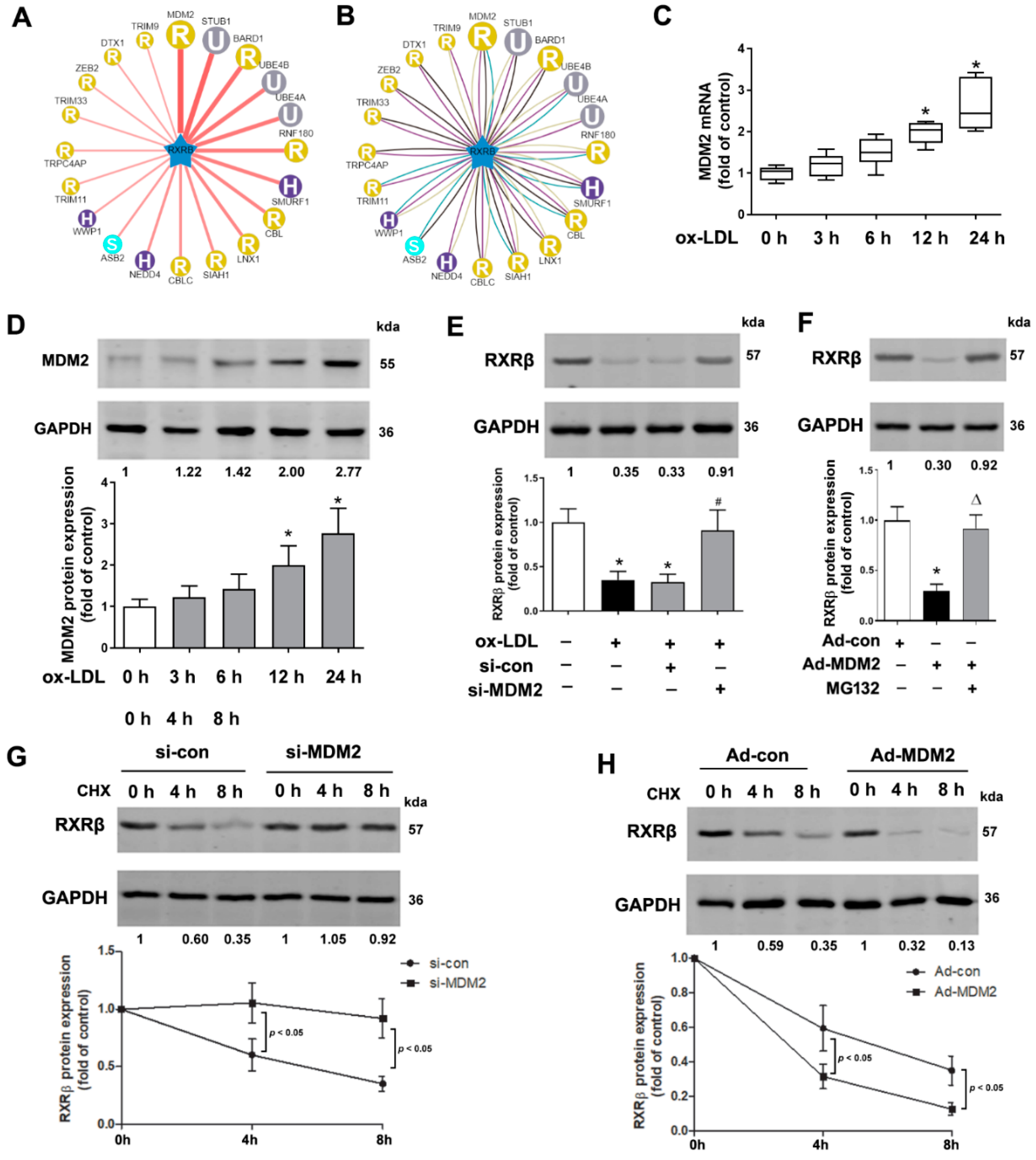 Ijms 23 05766 g002 550