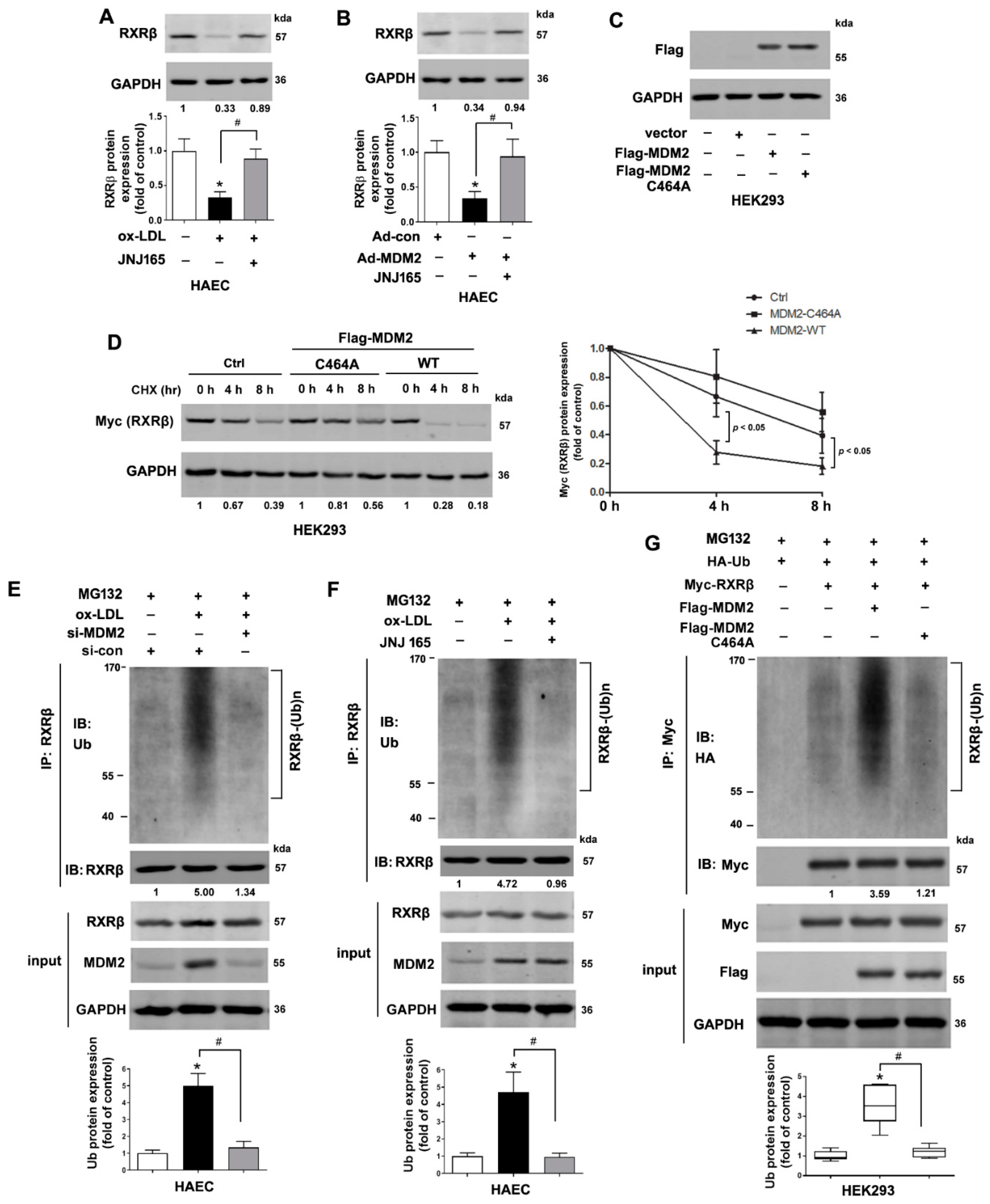 Ijms 23 05766 g003 550