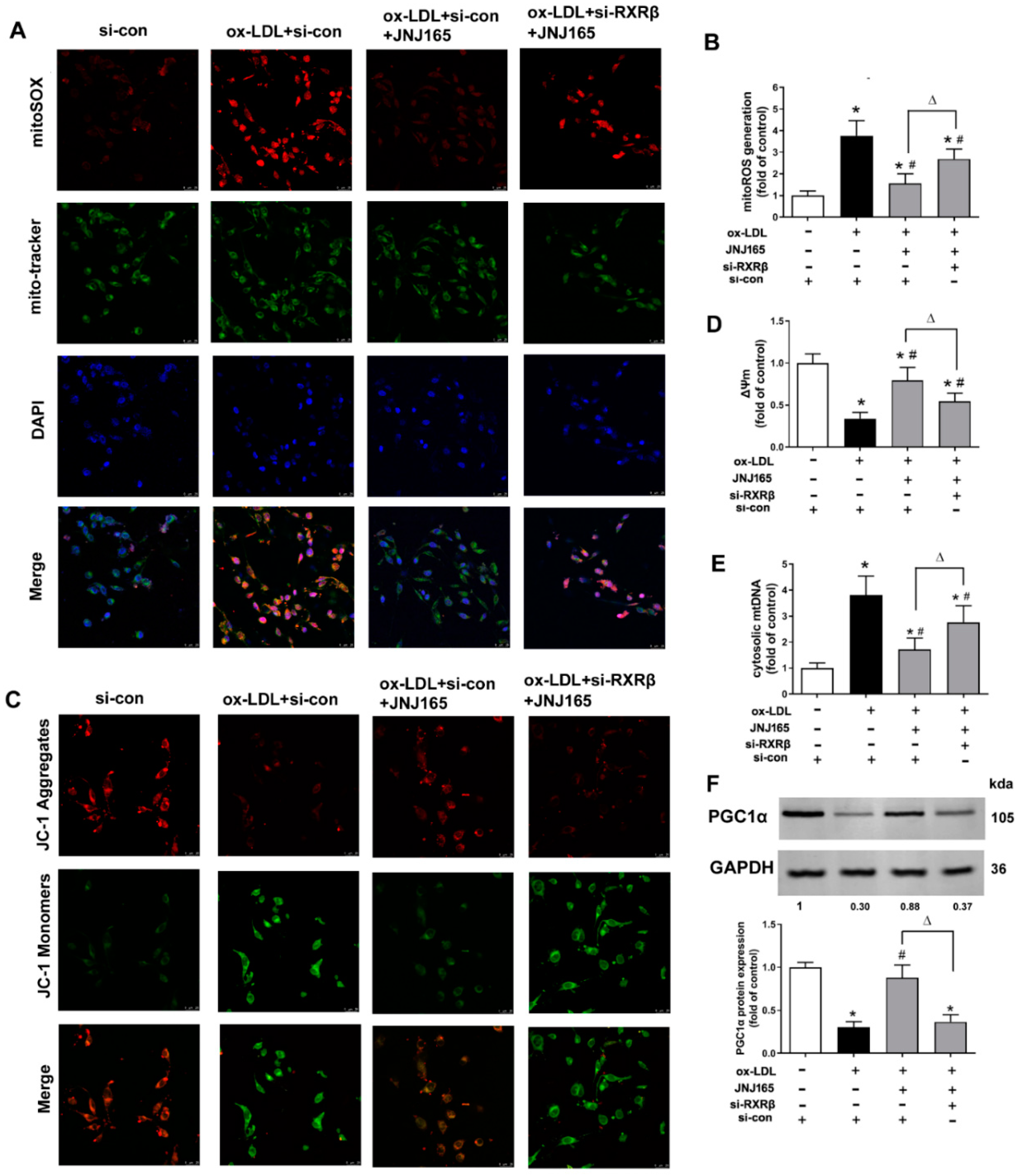 Ijms 23 05766 g005 550