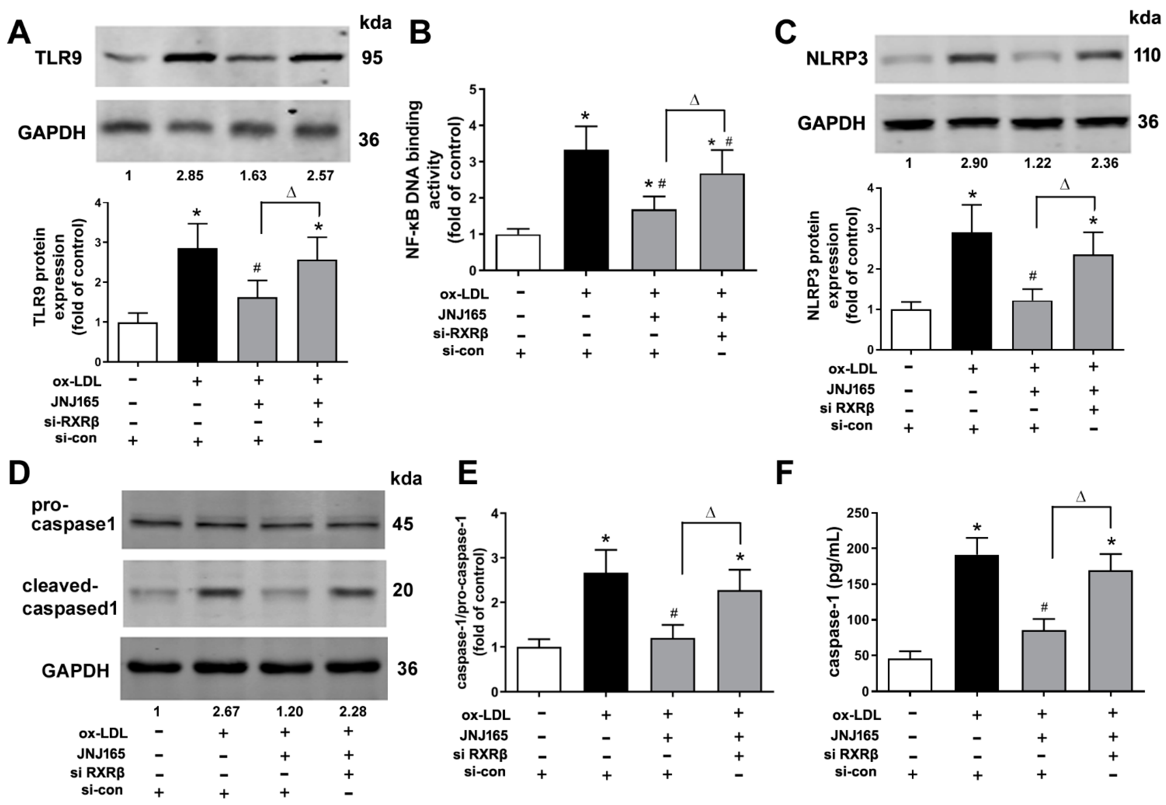 Ijms 23 05766 g006a 550