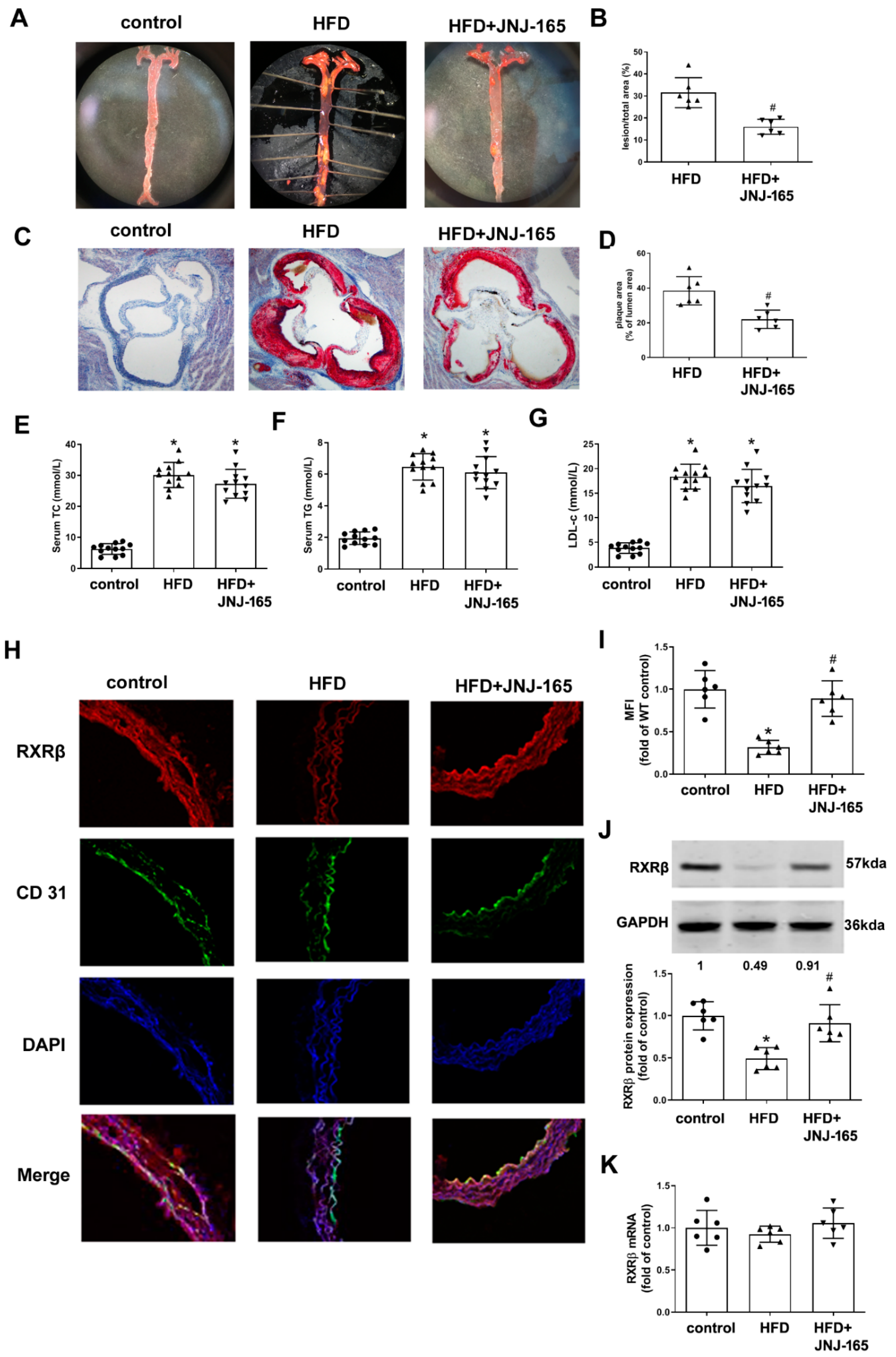 Ijms 23 05766 g008 550