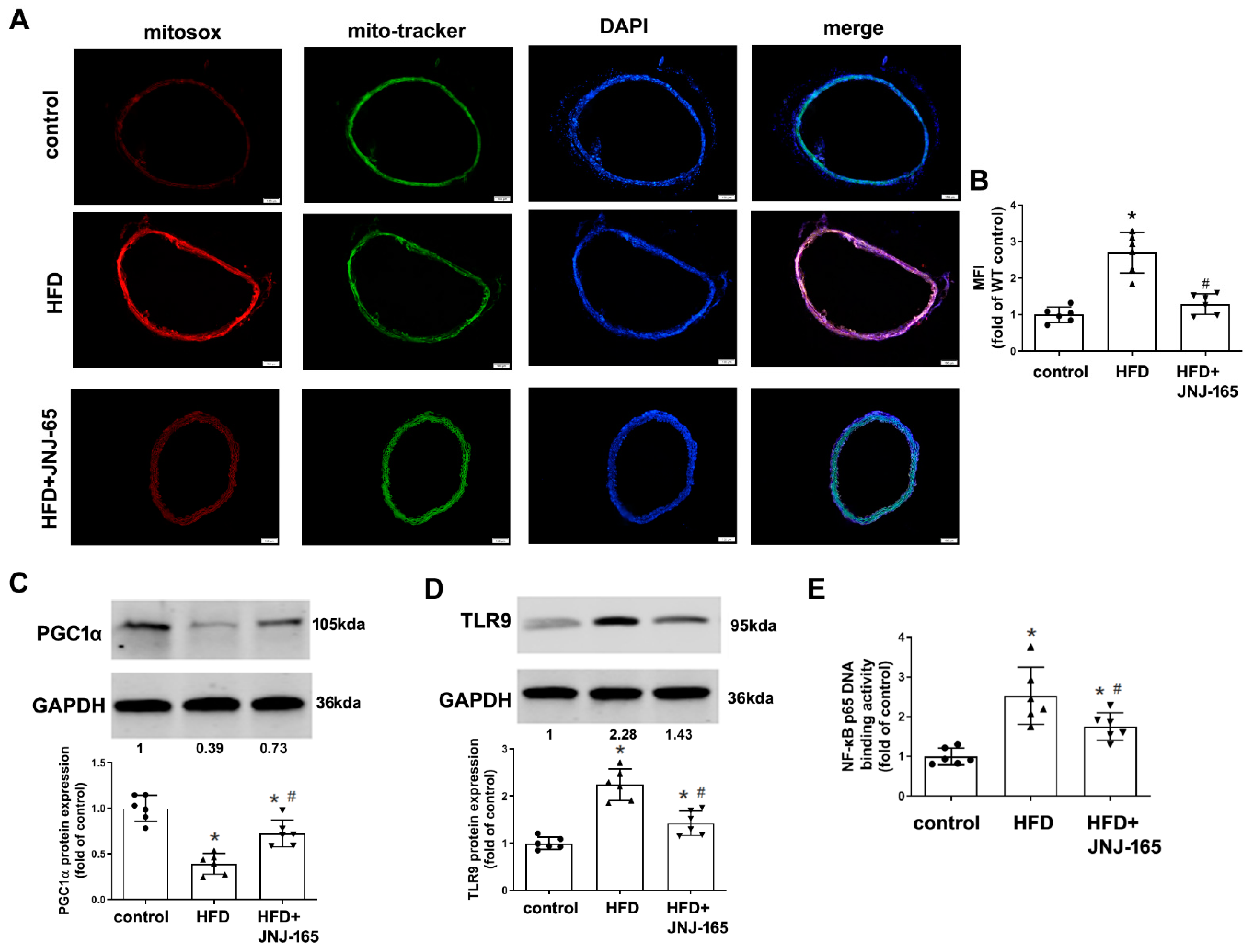 Ijms 23 05766 g009a 550