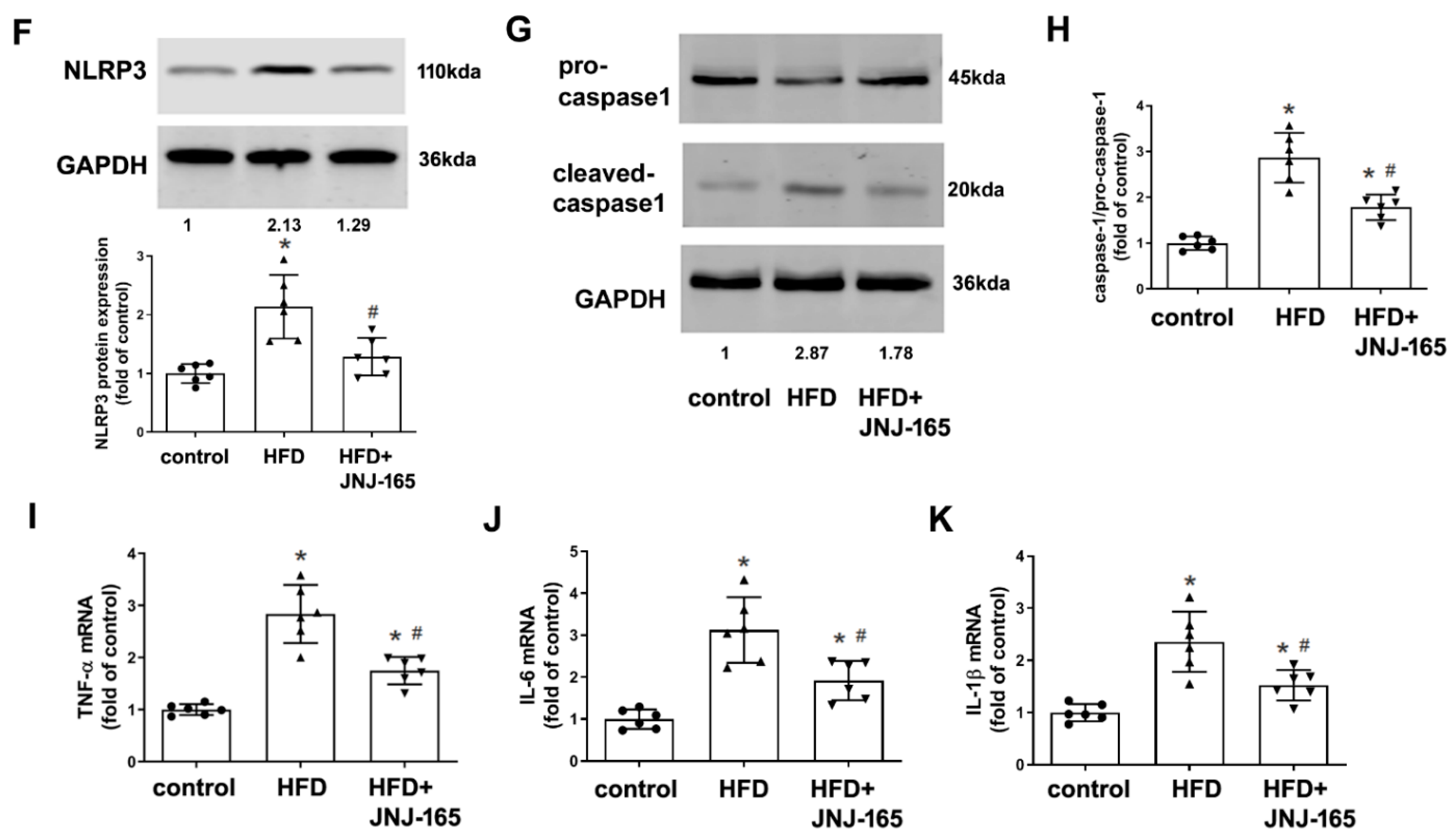 Ijms 23 05766 g009b 550