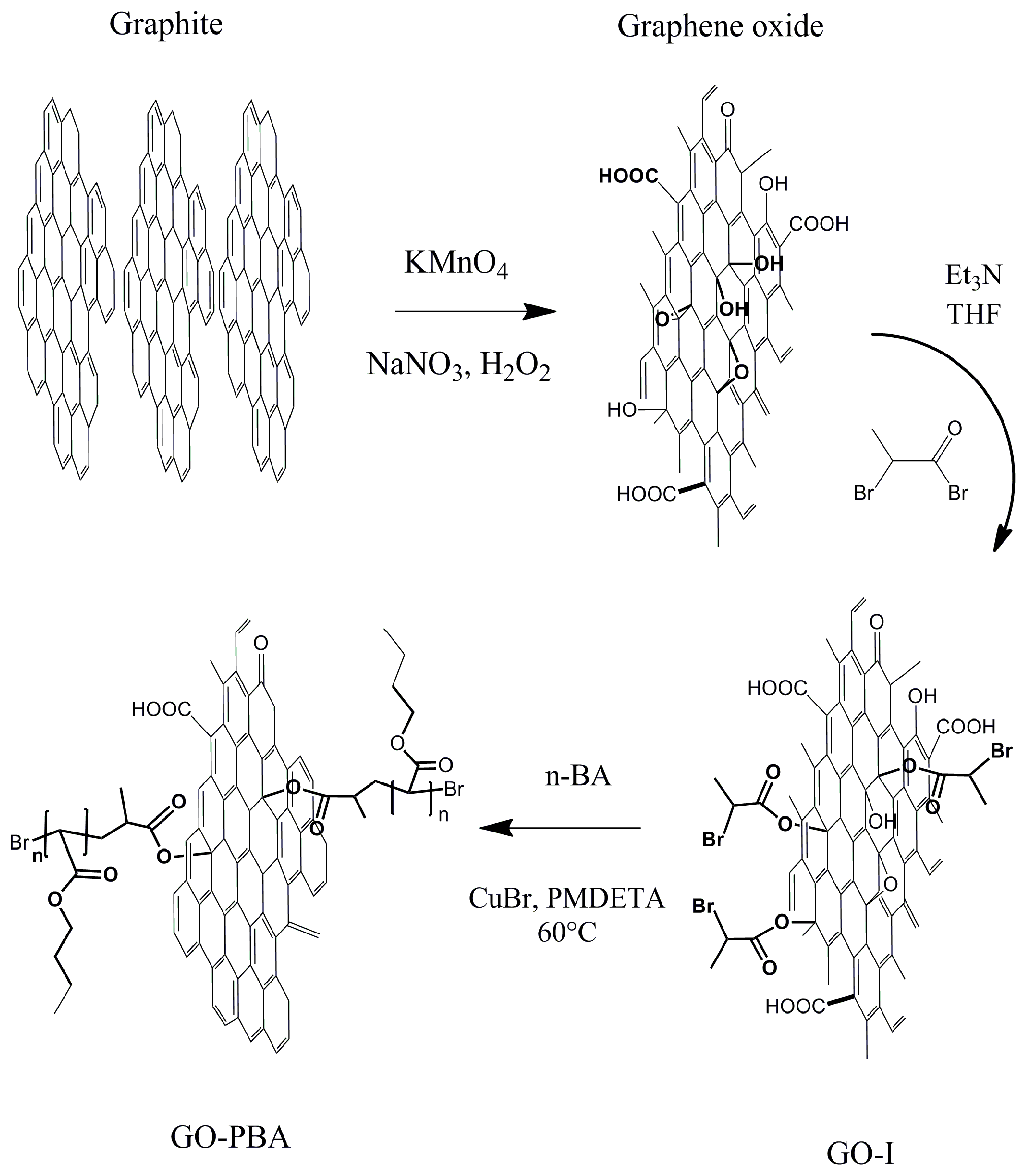 Ijms 23 05777 g001 550