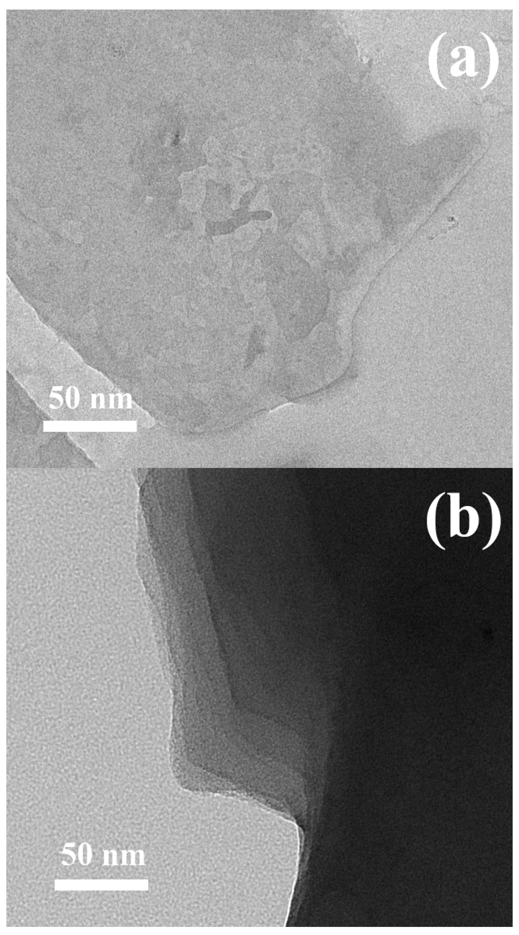 Ijms 23 05777 g003 550