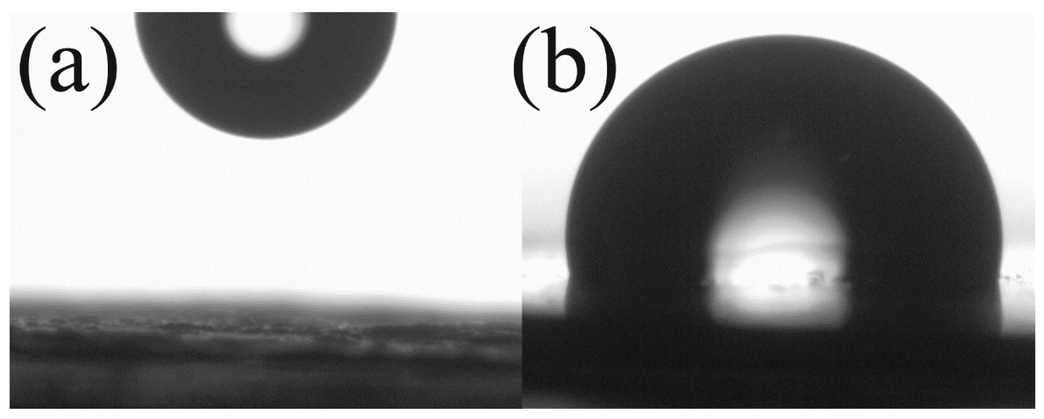 Ijms 23 05777 g006 550