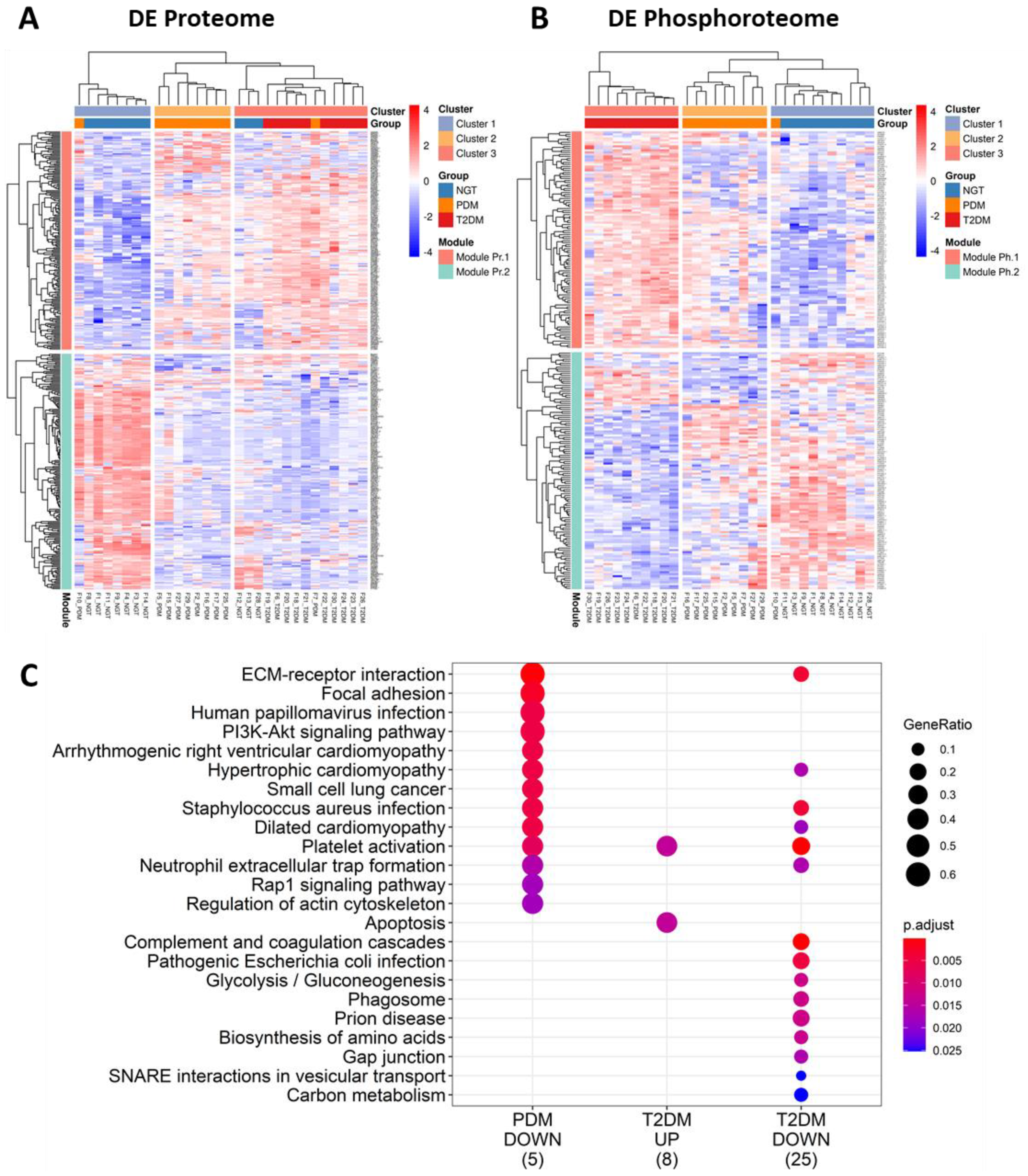 Ijms 23 05779 g002 550