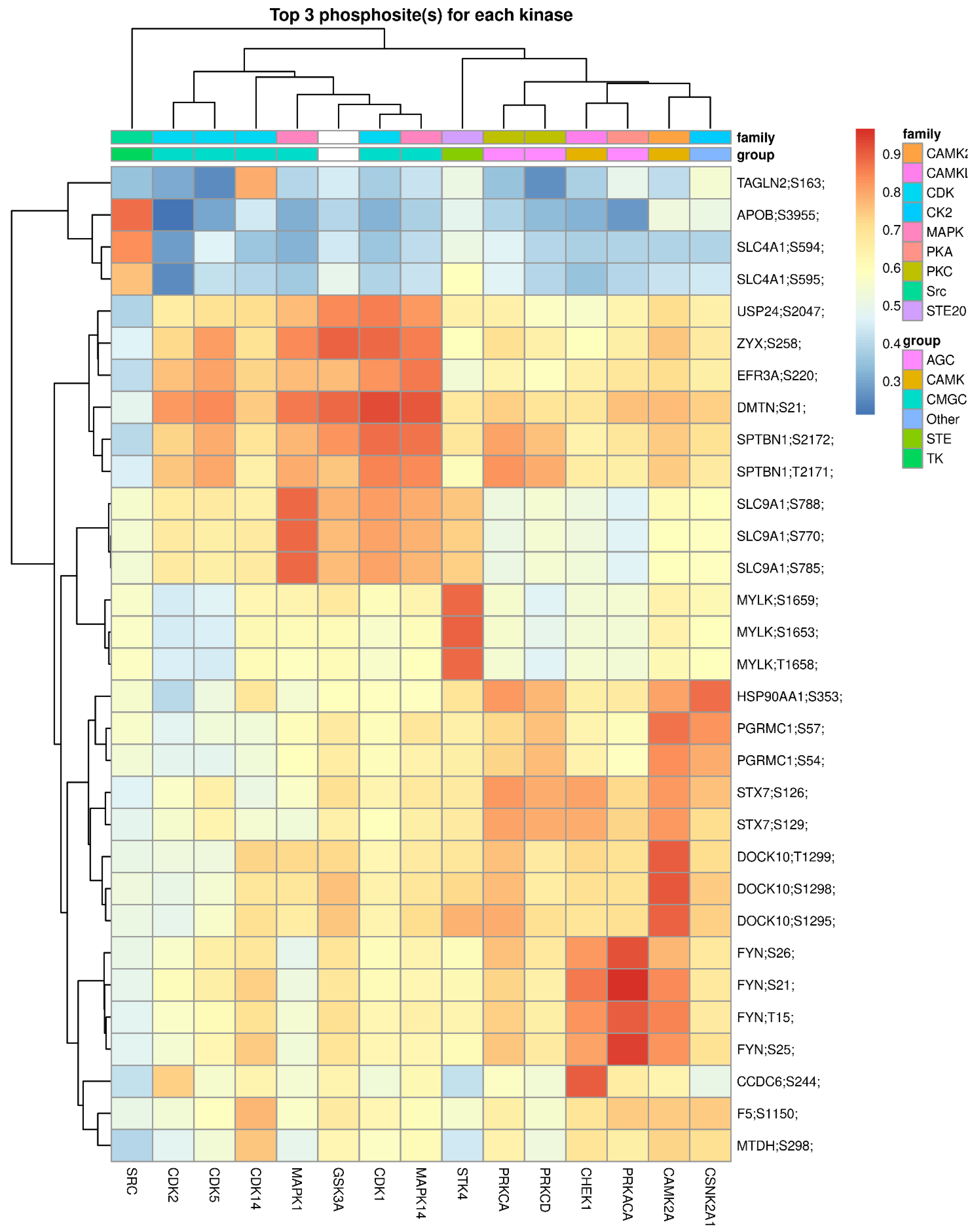 Ijms 23 05779 g005 550