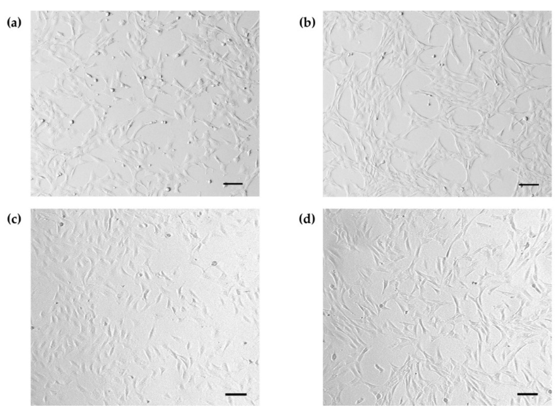 Ijms 23 05780 g001 550