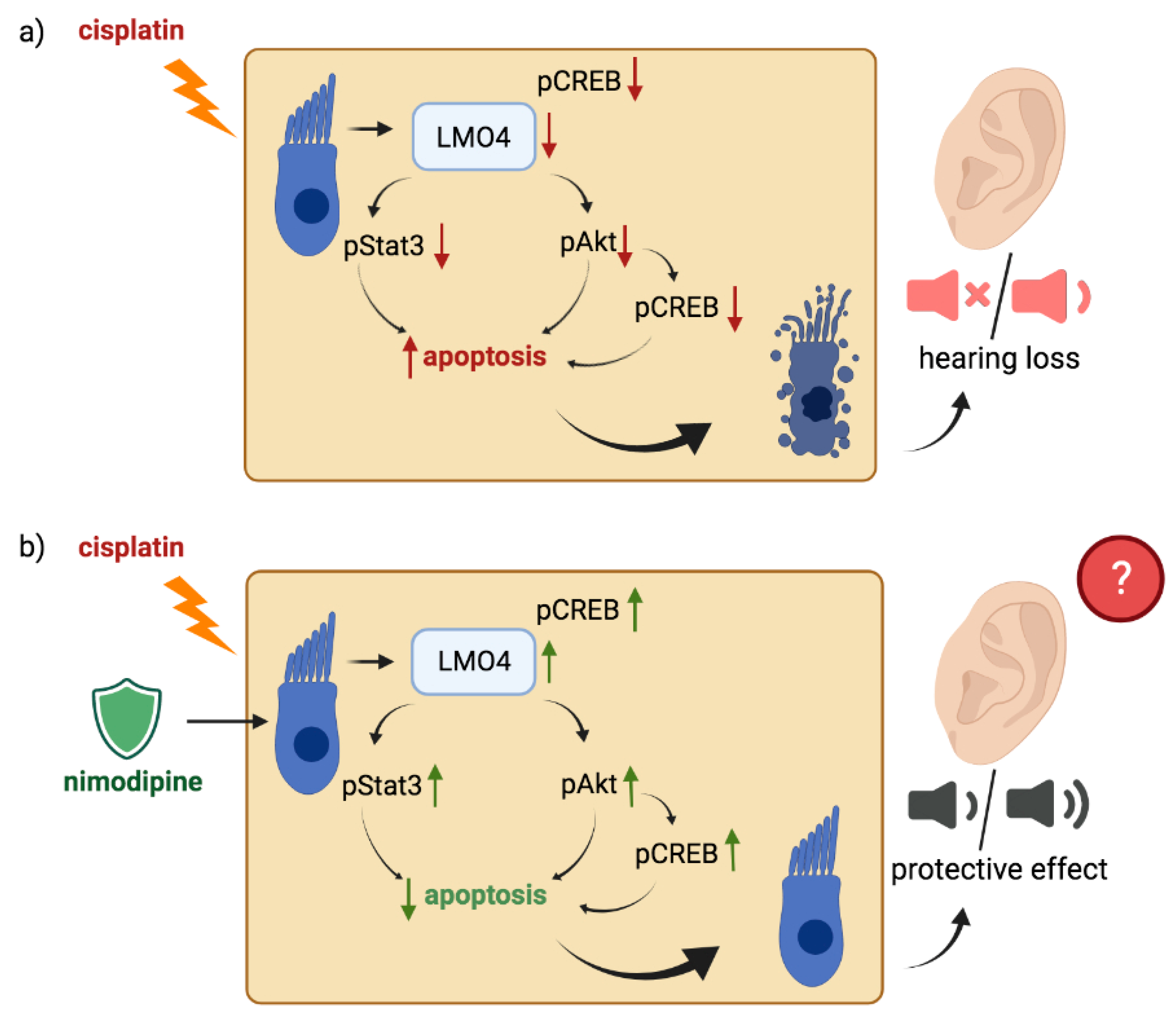 Ijms 23 05780 g007 550