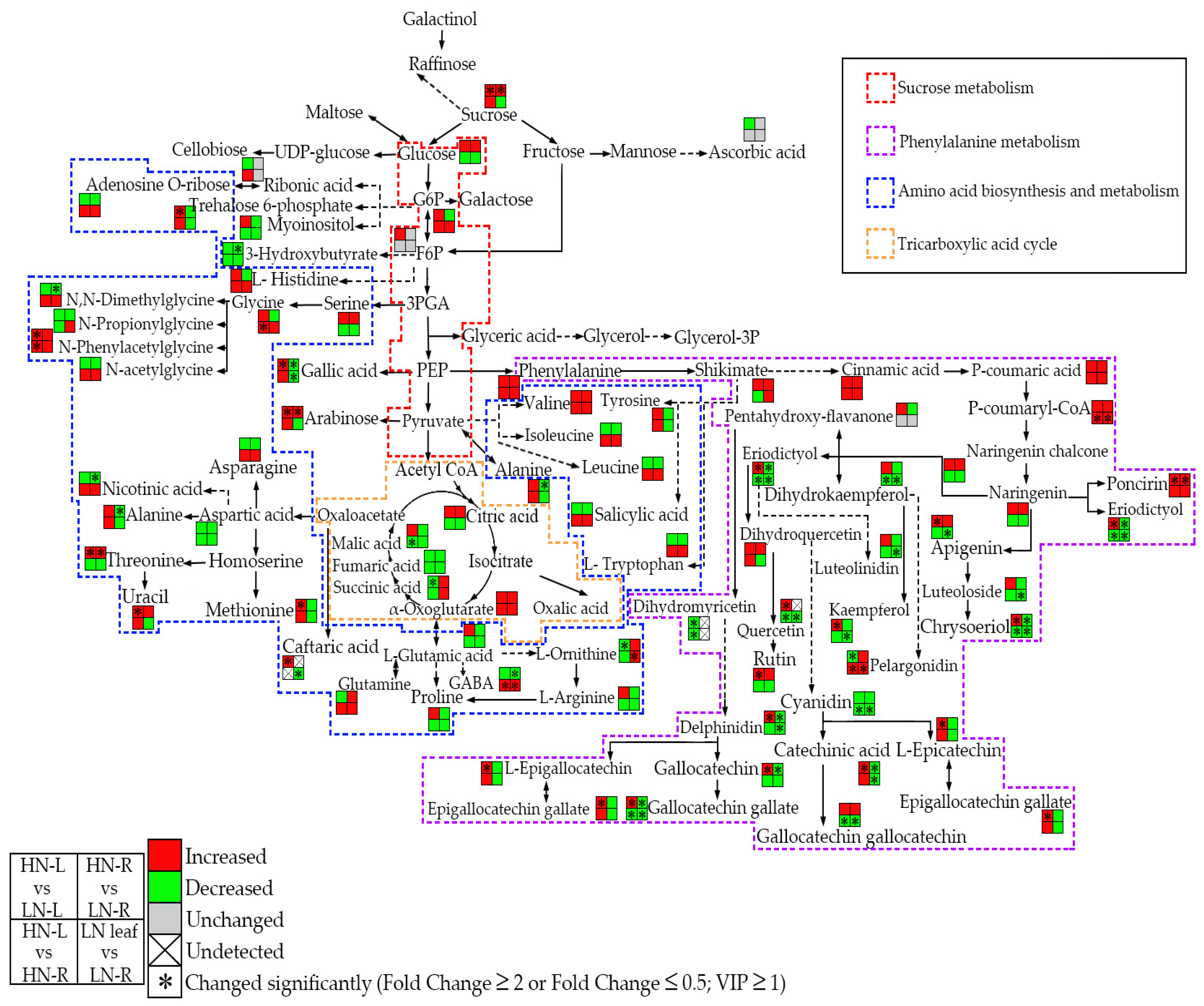 Ijms 23 05784 g006 550