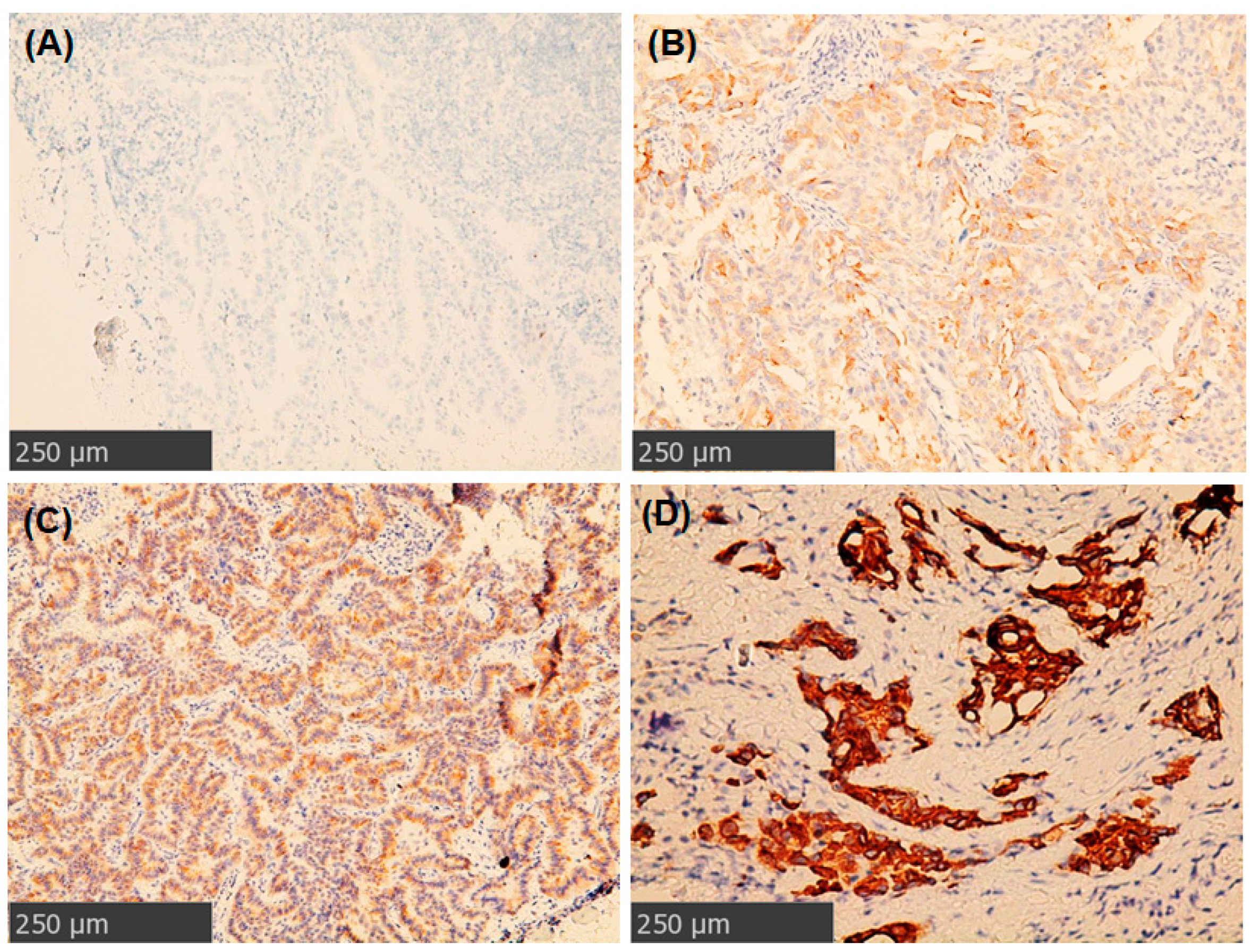 Ijms 23 05789 g002 550