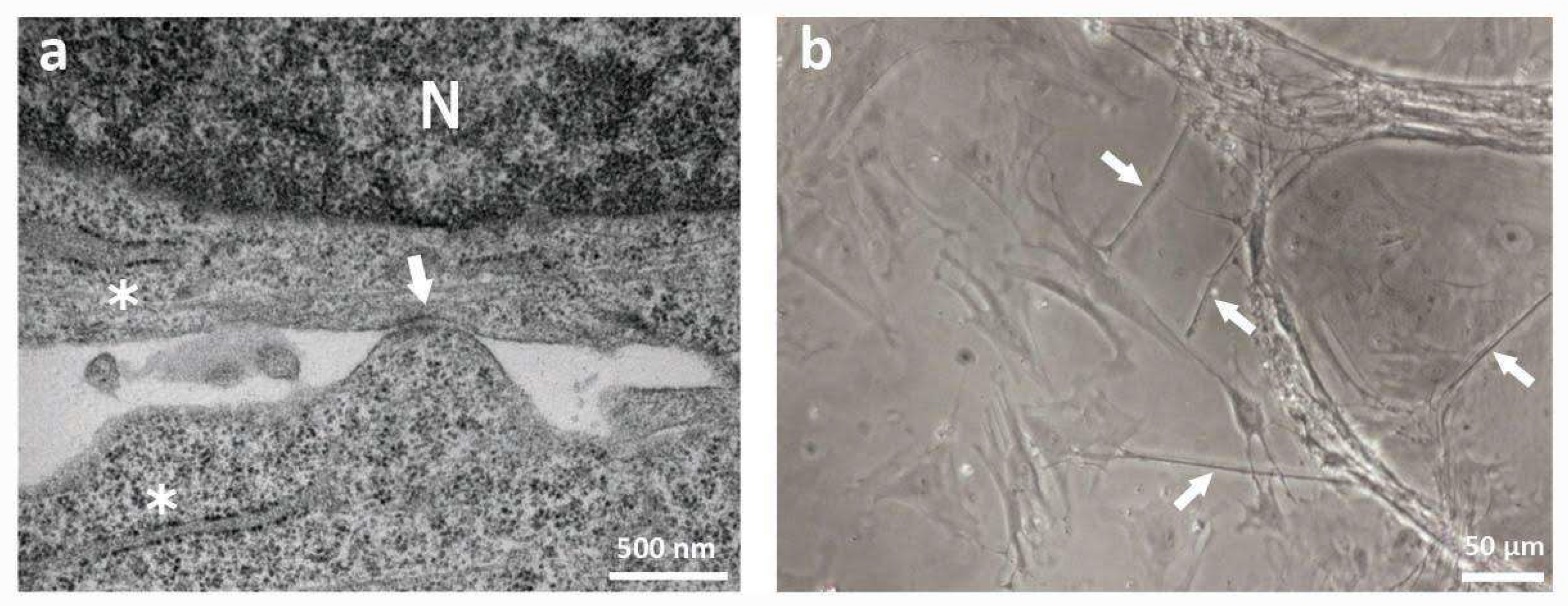 Ijms 23 05791 g001 550