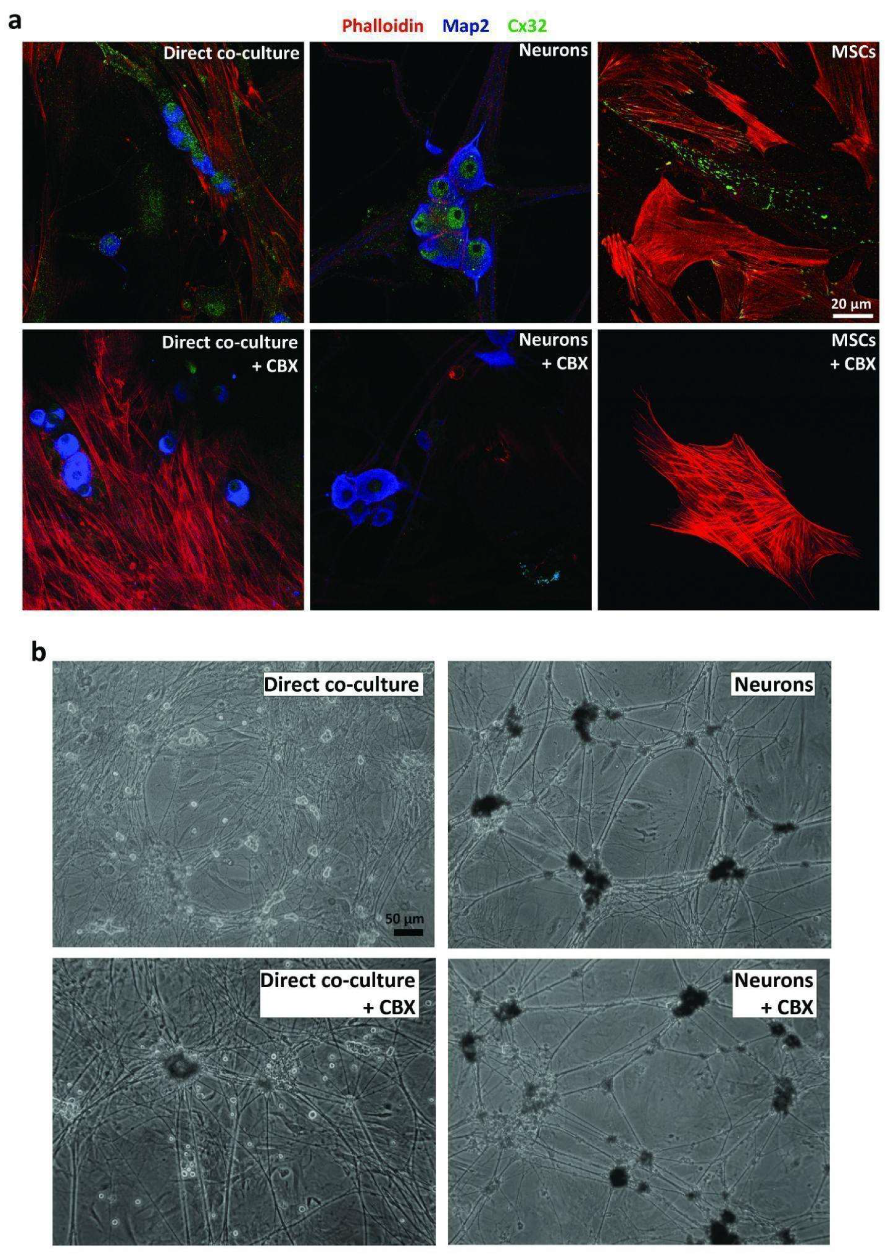 Ijms 23 05791 g004 550