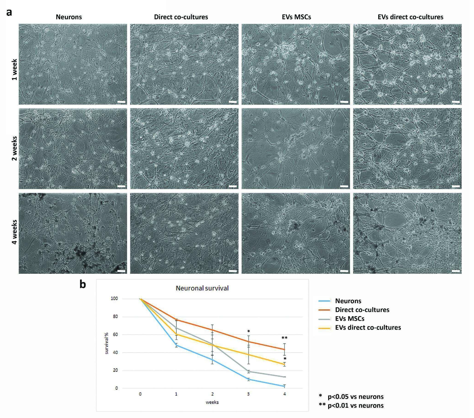 Ijms 23 05791 g007 550