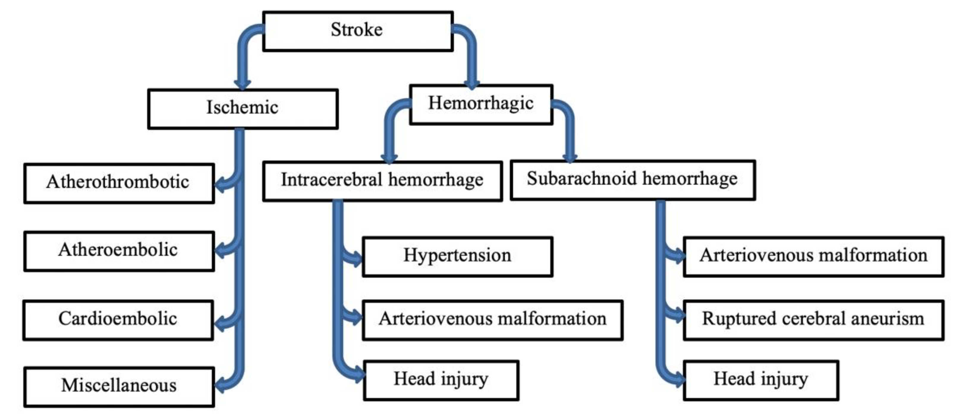 Ijms 23 05796 g001 Ijms 23 05796 g001
