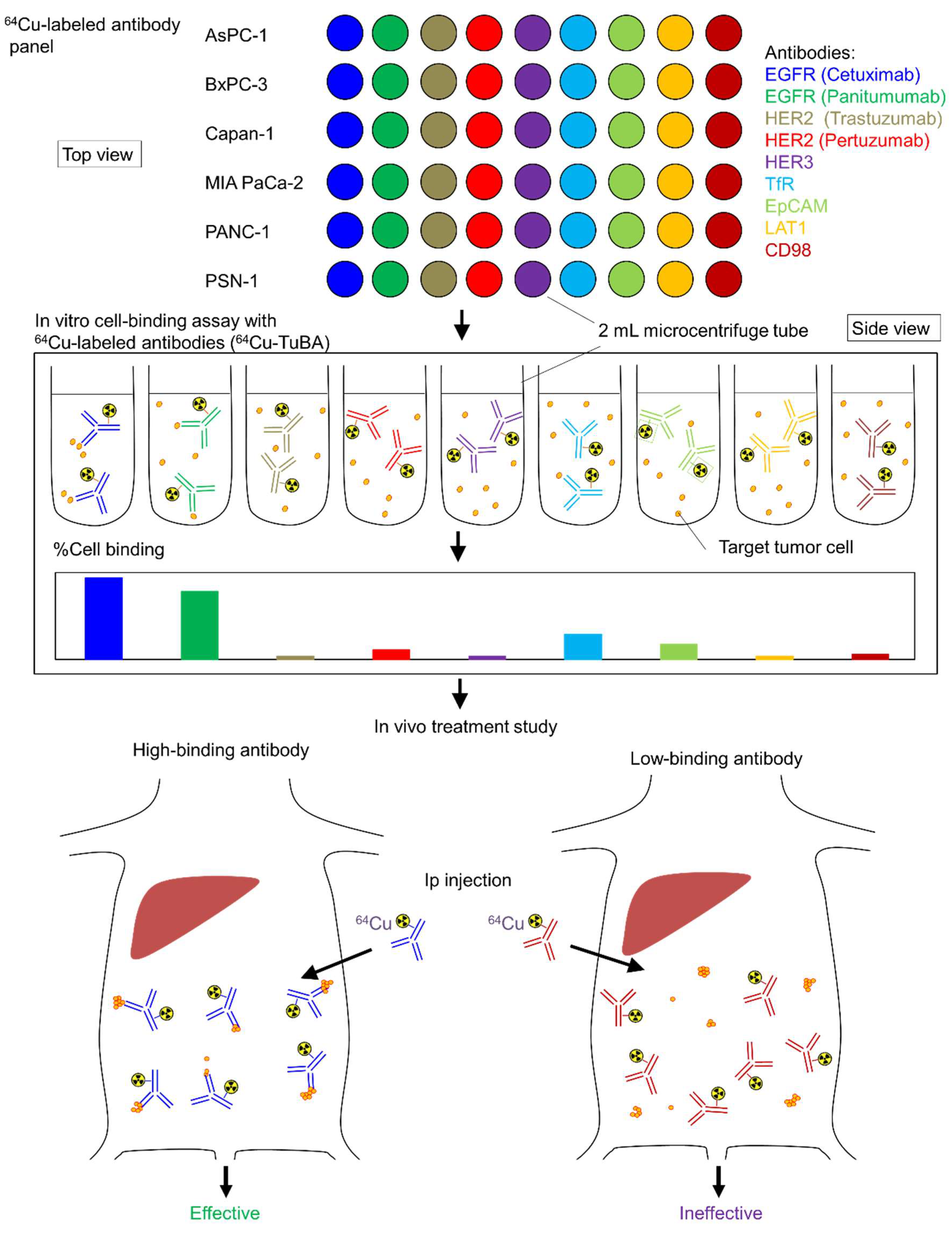 Ijms 23 05807 g001 Ijms 23 05807 g001
