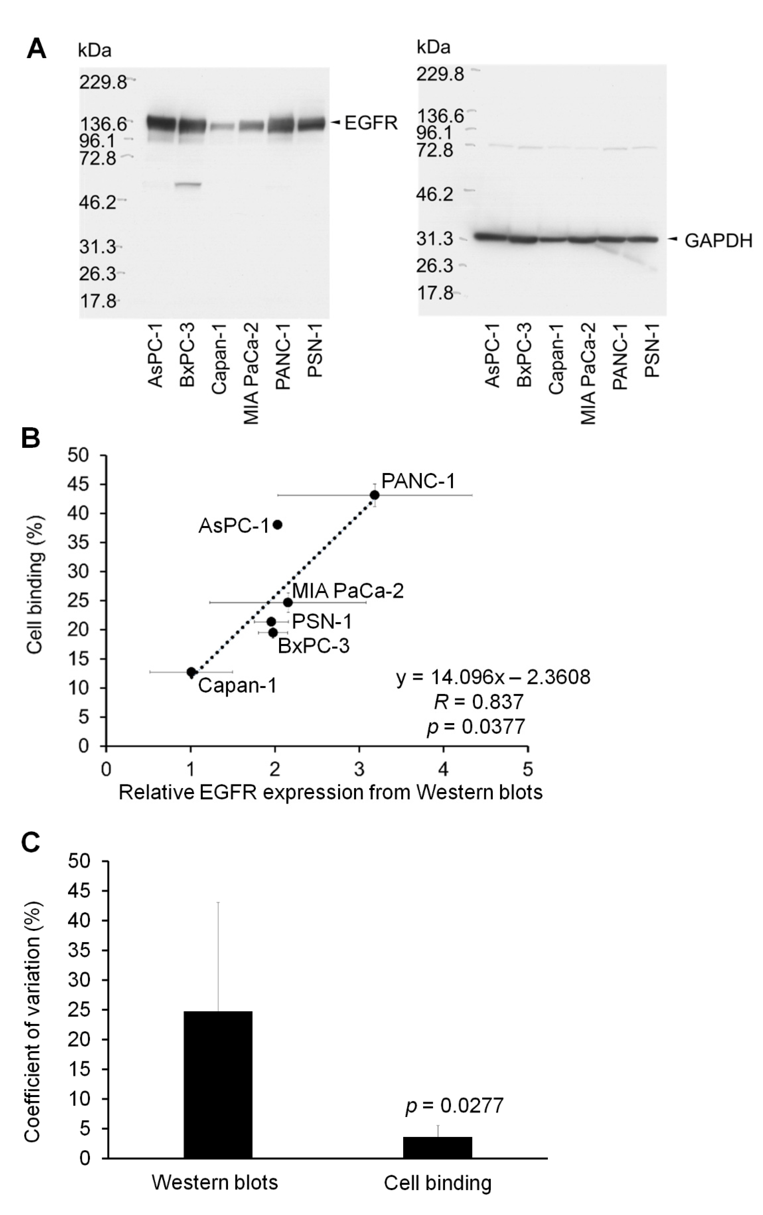 IJMS Free FullText In Vitro Tumor CellBinding Assay to Select HighBinding Antibody and
