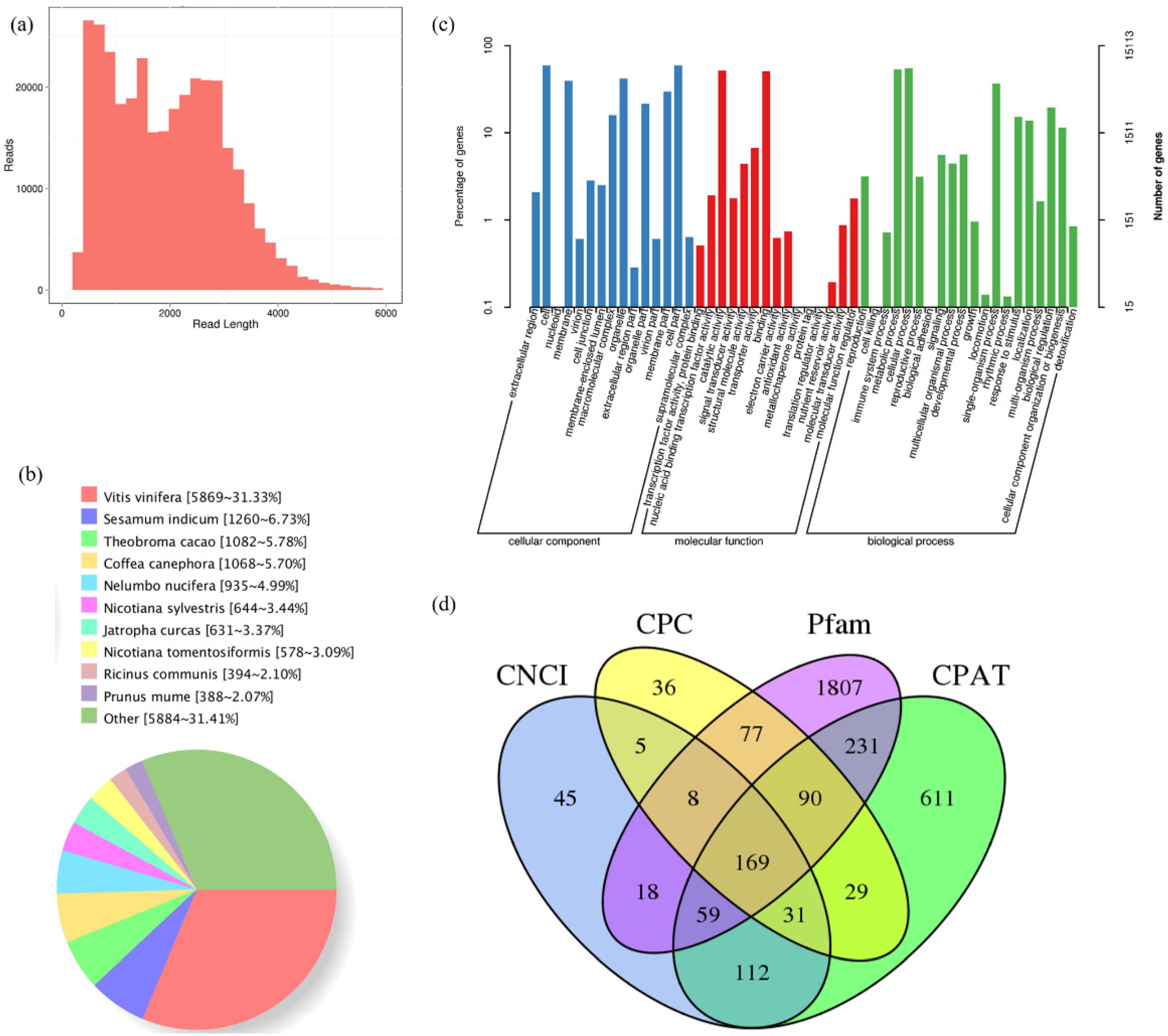 Ijms 23 05808 g003 550