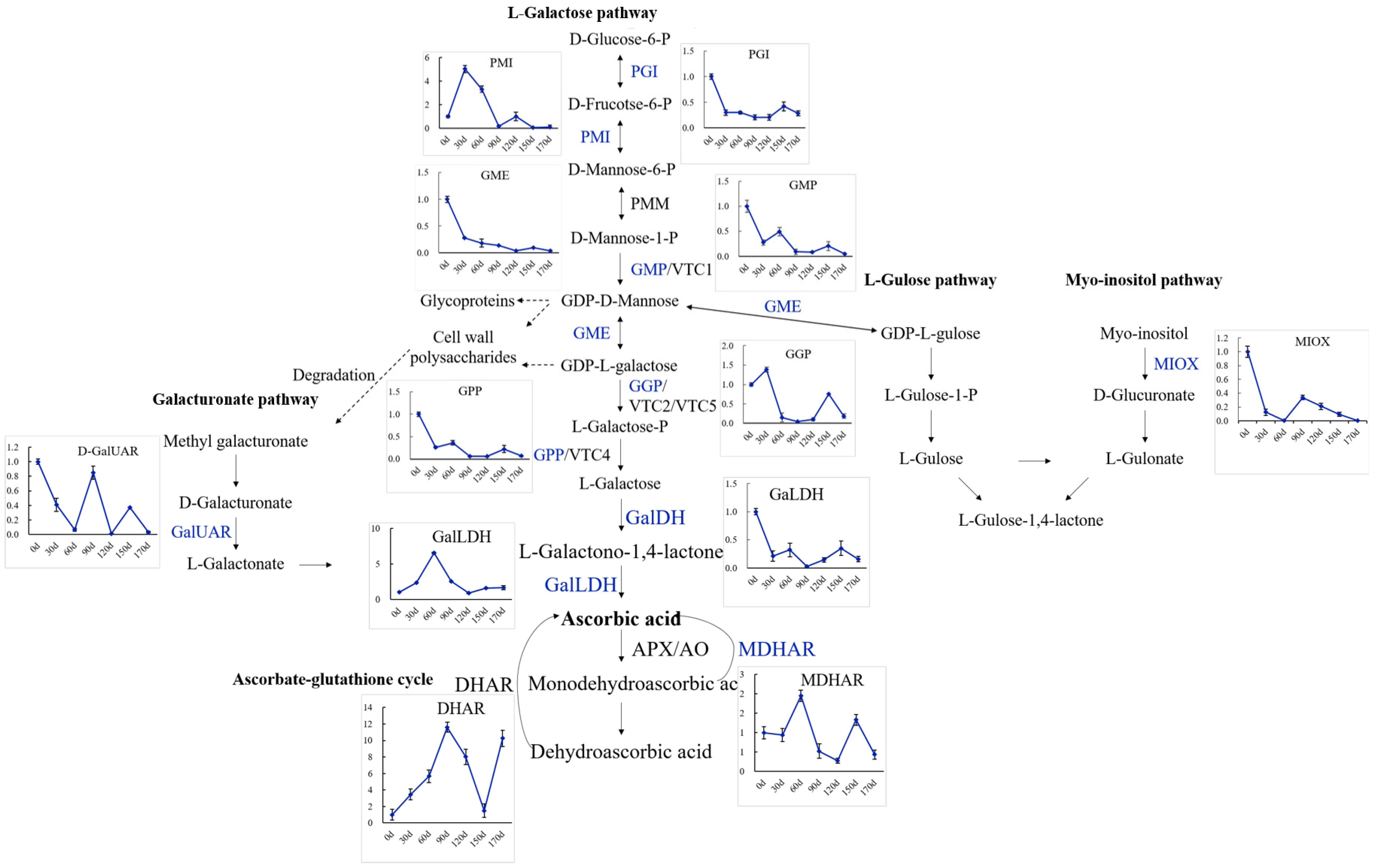 Ijms 23 05808 g006 550