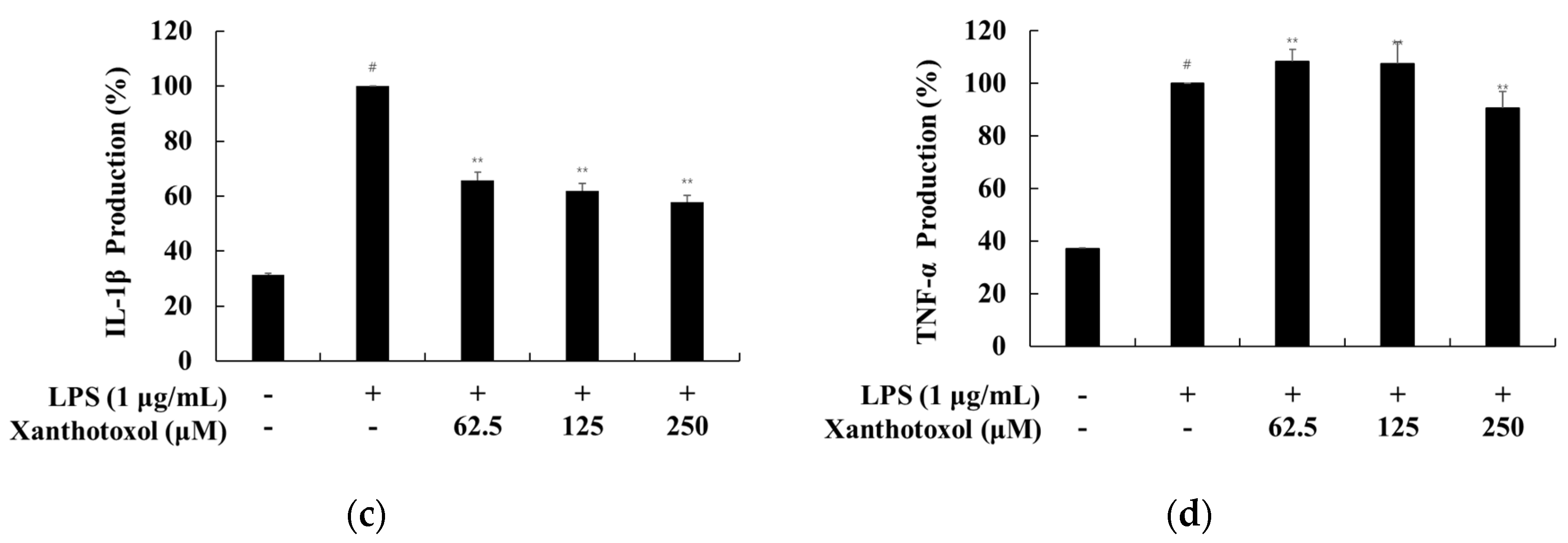 Ijms 23 05813 g004b 550