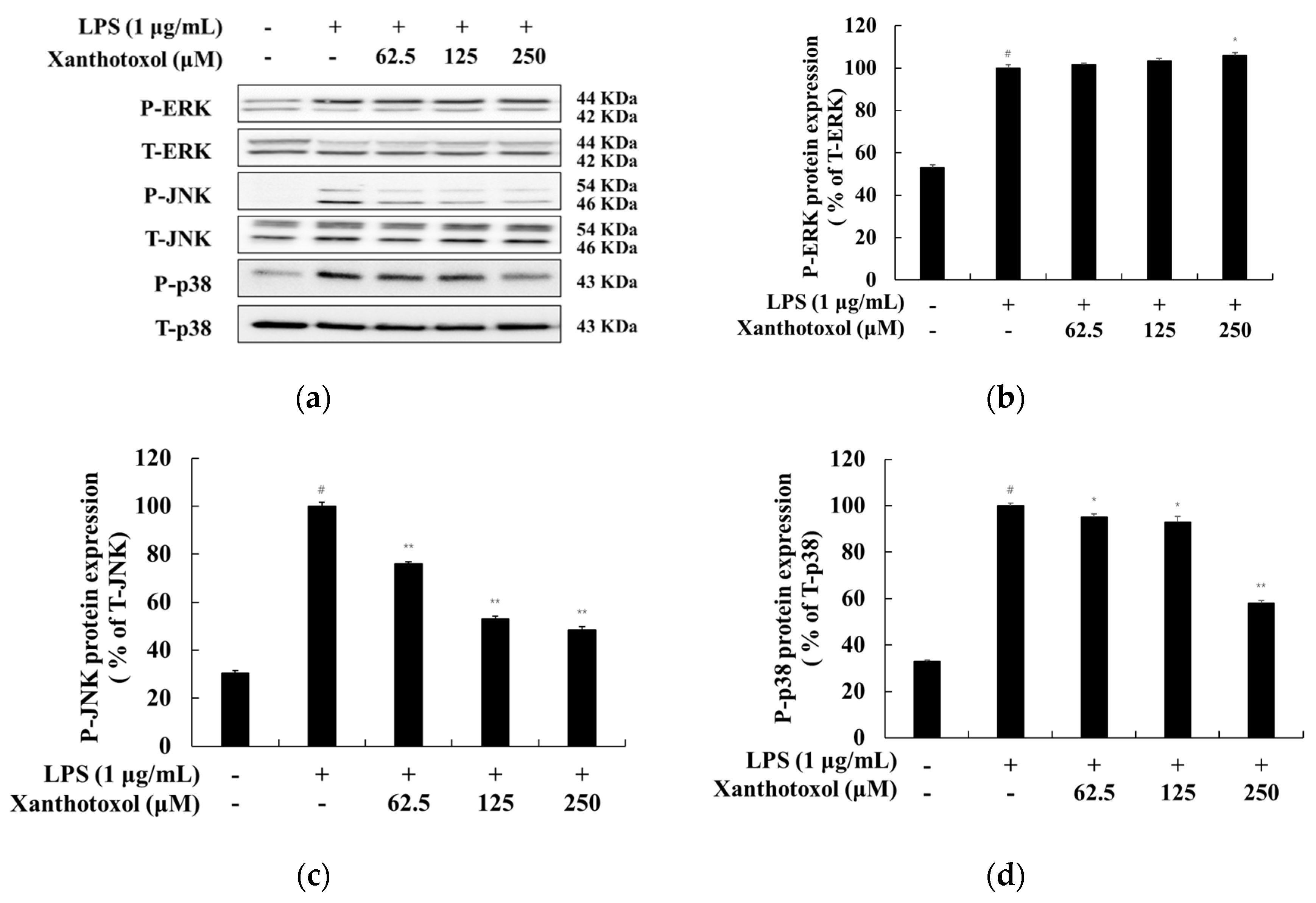 Ijms 23 05813 g006 550