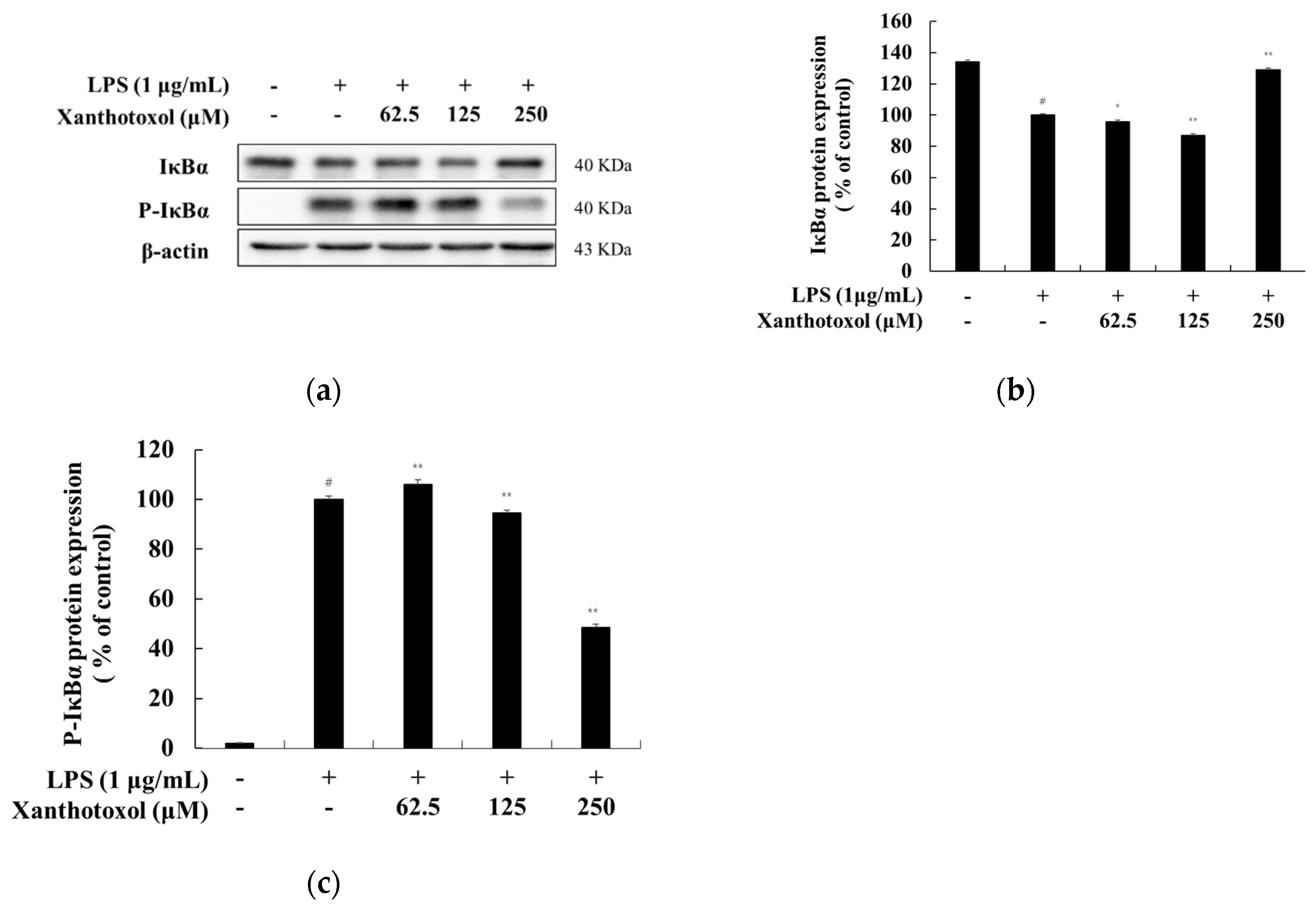 Ijms 23 05813 g007 550