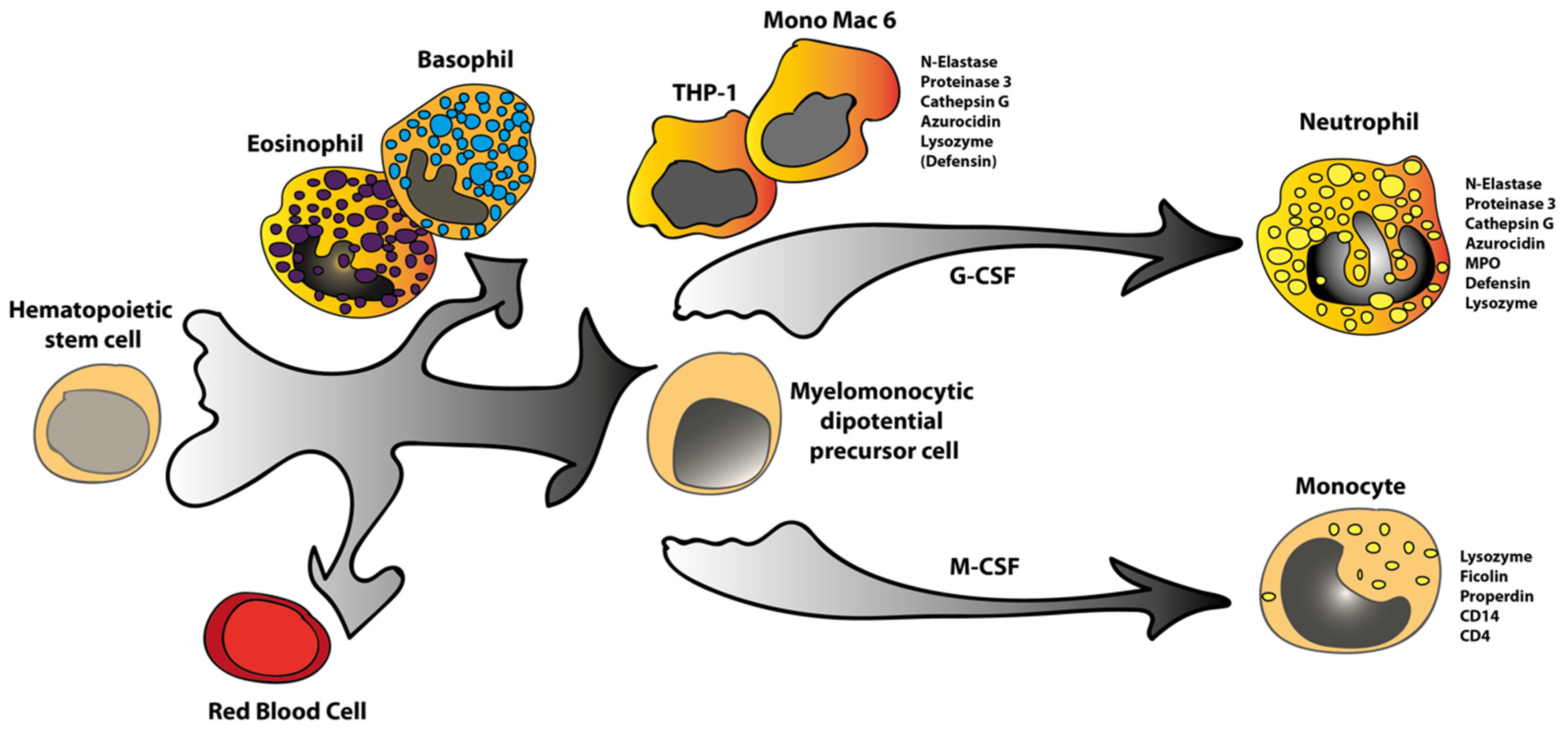 Ijms 23 05818 g001 550