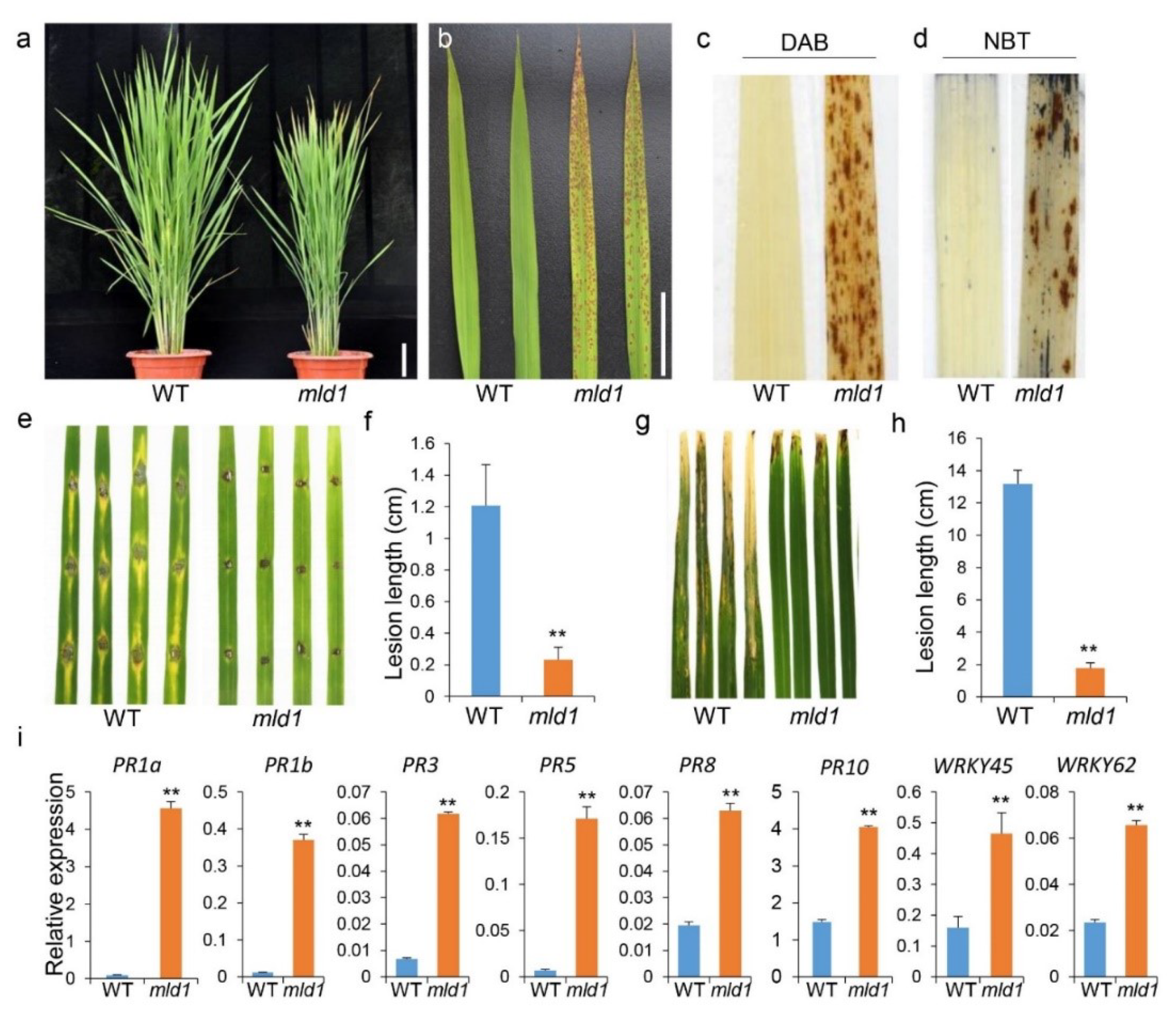 Ijms 23 05819 g001 550