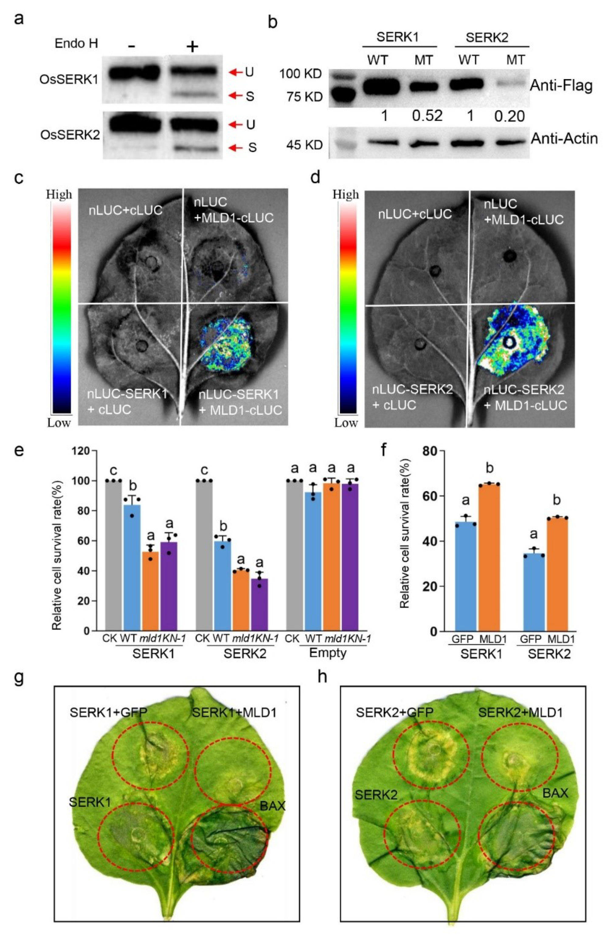 Ijms 23 05819 g006 550