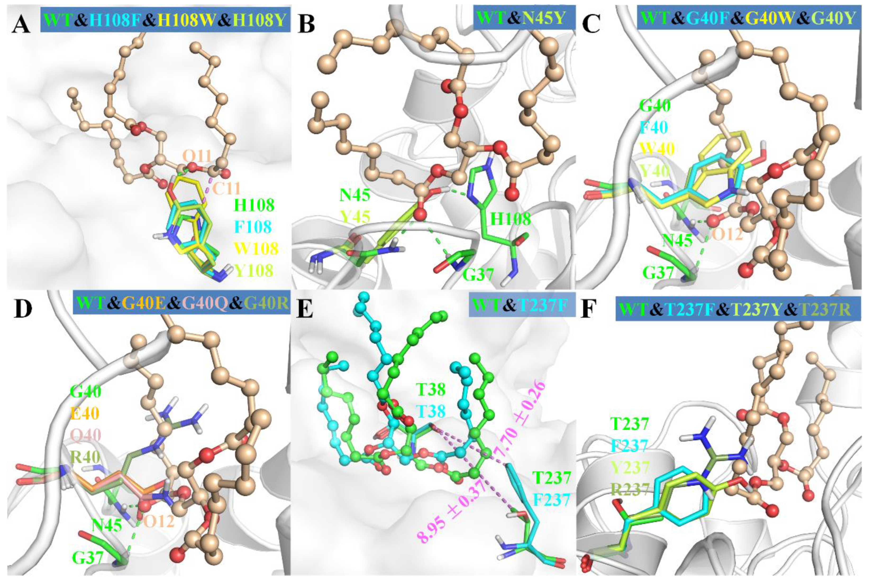 Ijms 23 05822 g006 550