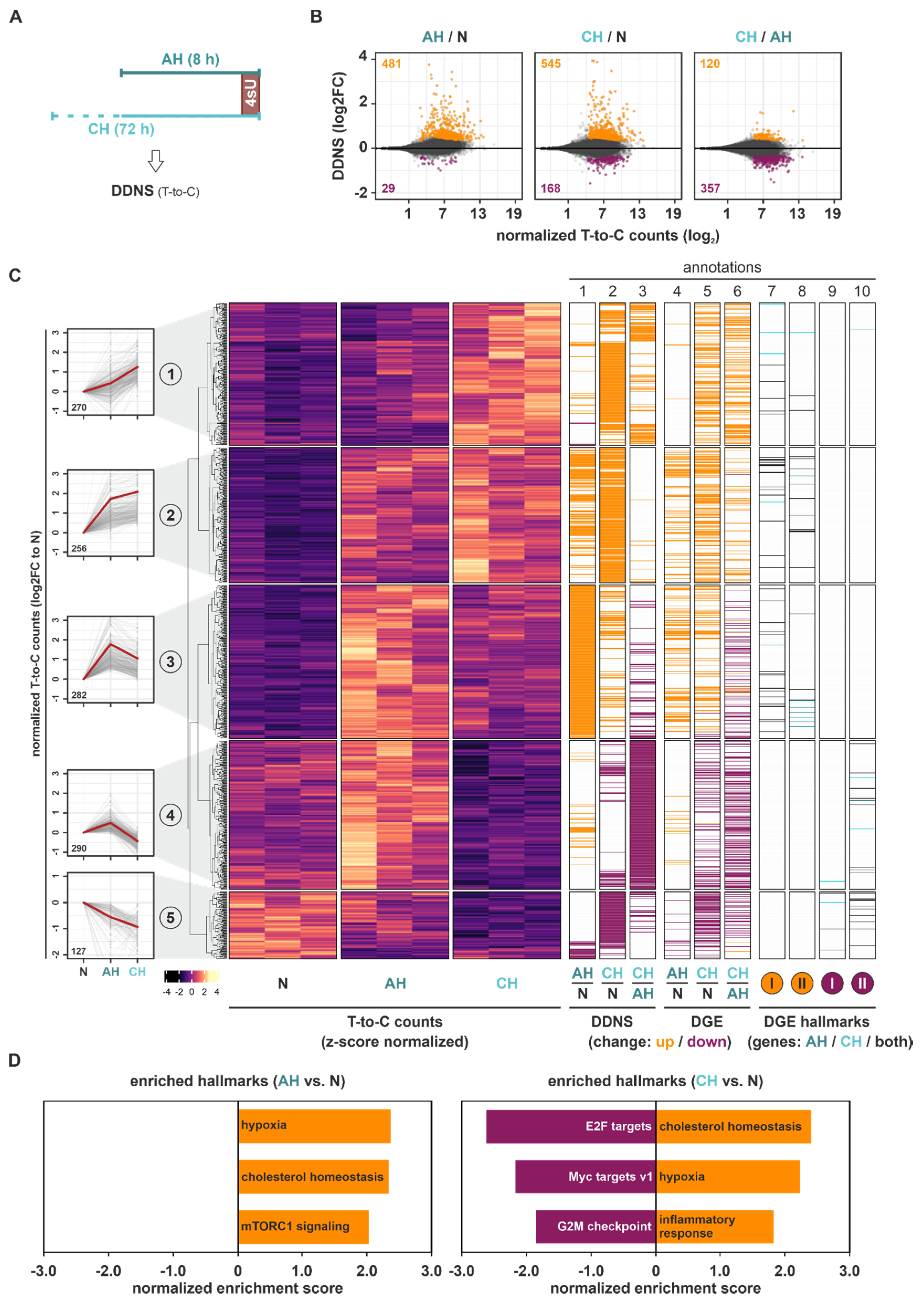 Ijms 23 05824 g002 550