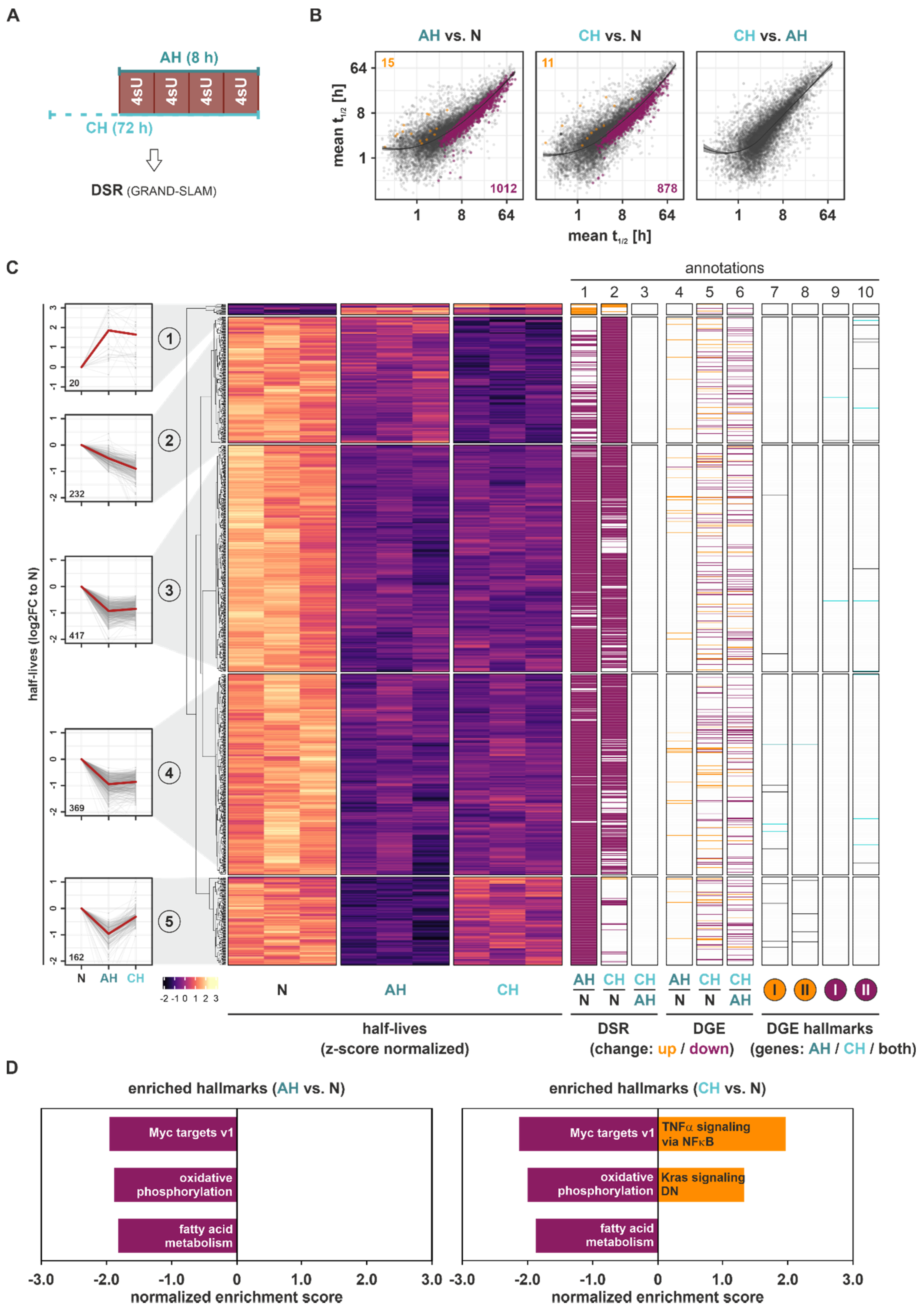 Ijms 23 05824 g003 550