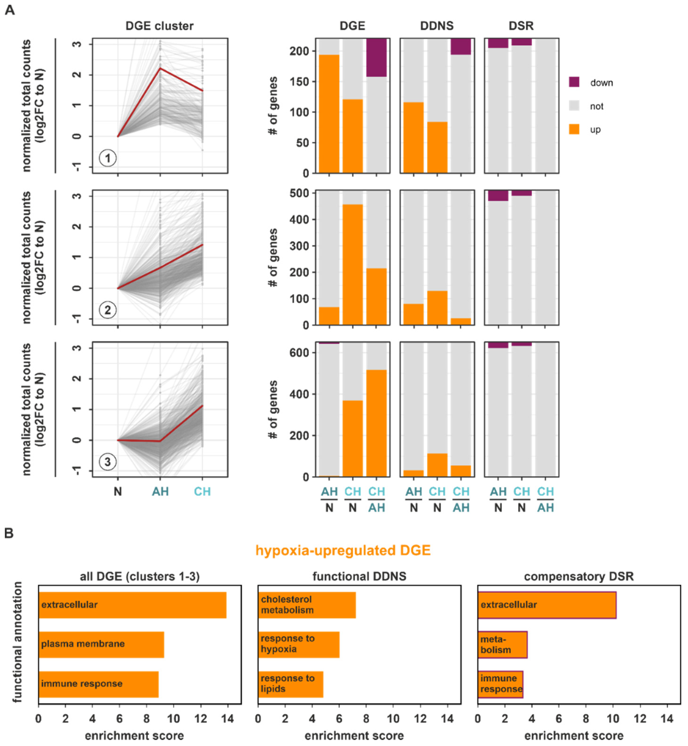 Ijms 23 05824 g004 550