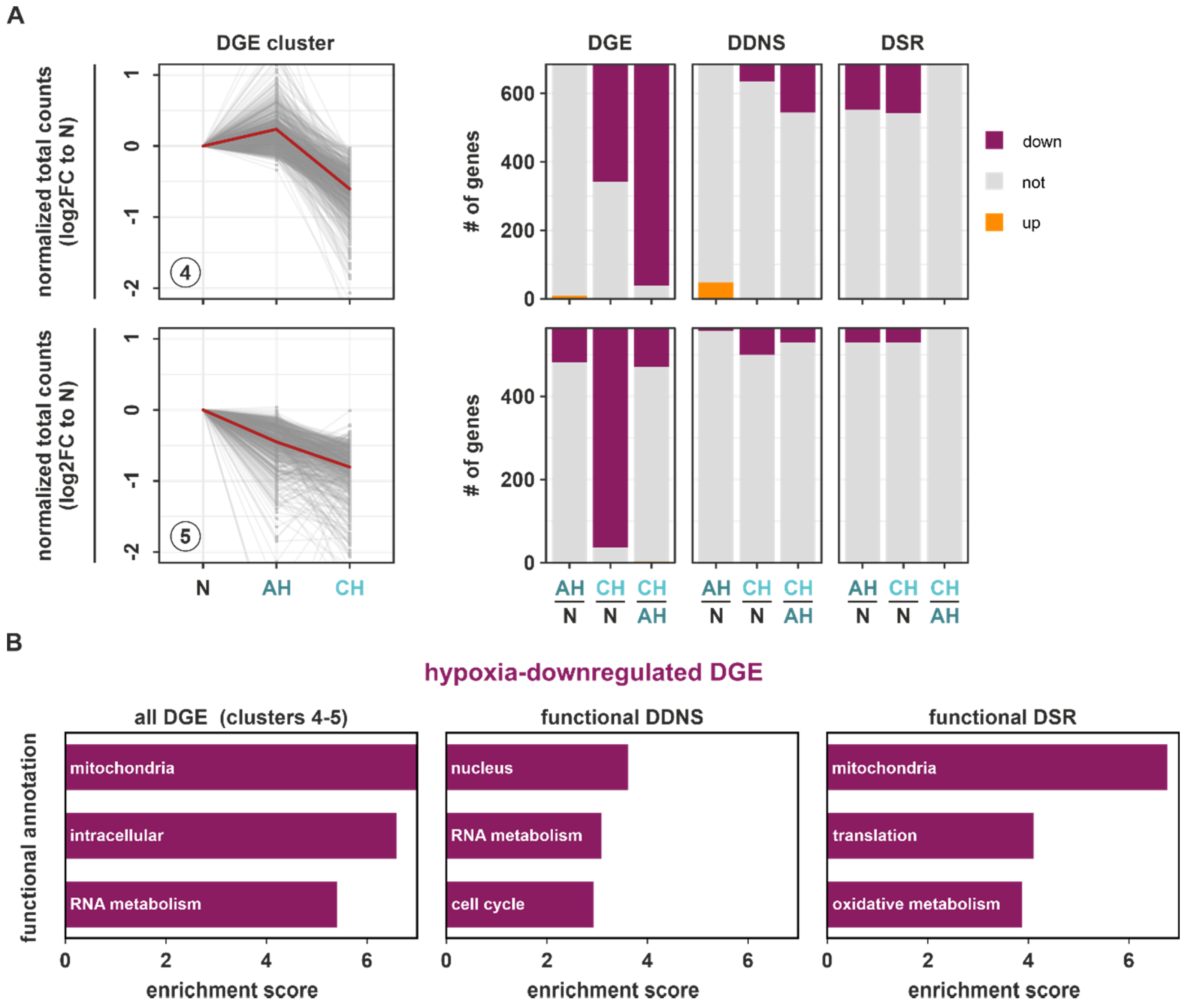 Ijms 23 05824 g005 550