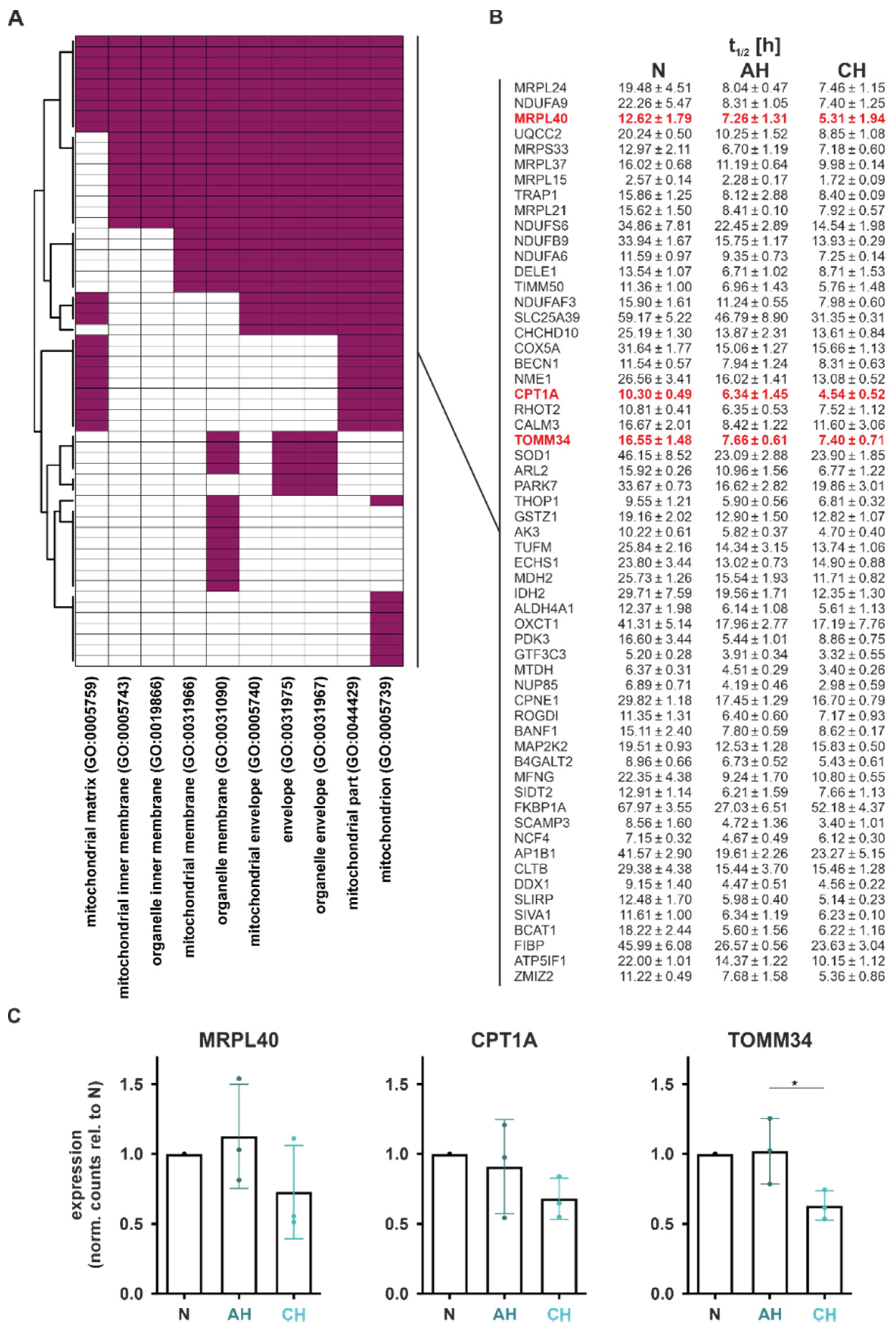 Ijms 23 05824 g006 550